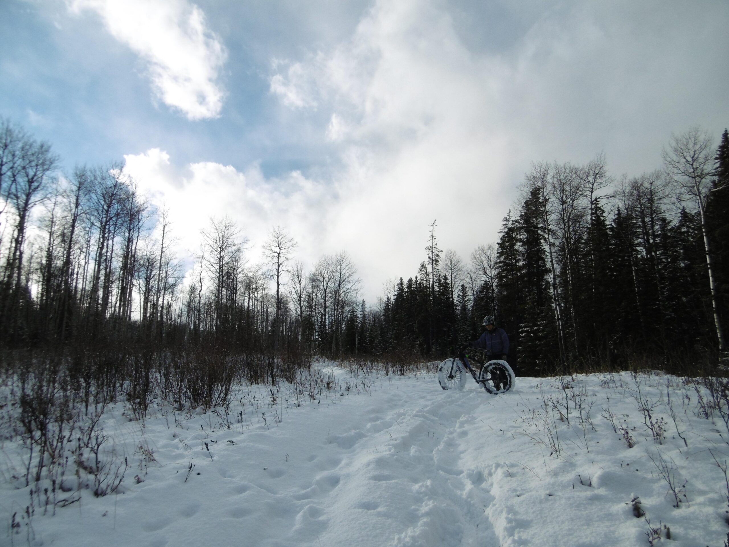 A person riding a fat bike on a snowy trail surrounded by winter trees under a partly cloudy sky. The ground is covered in snow, and the cyclist is taking a moment to pause amidst the scenic winter landscape. Happy Creek Trail System mountain bike trail.