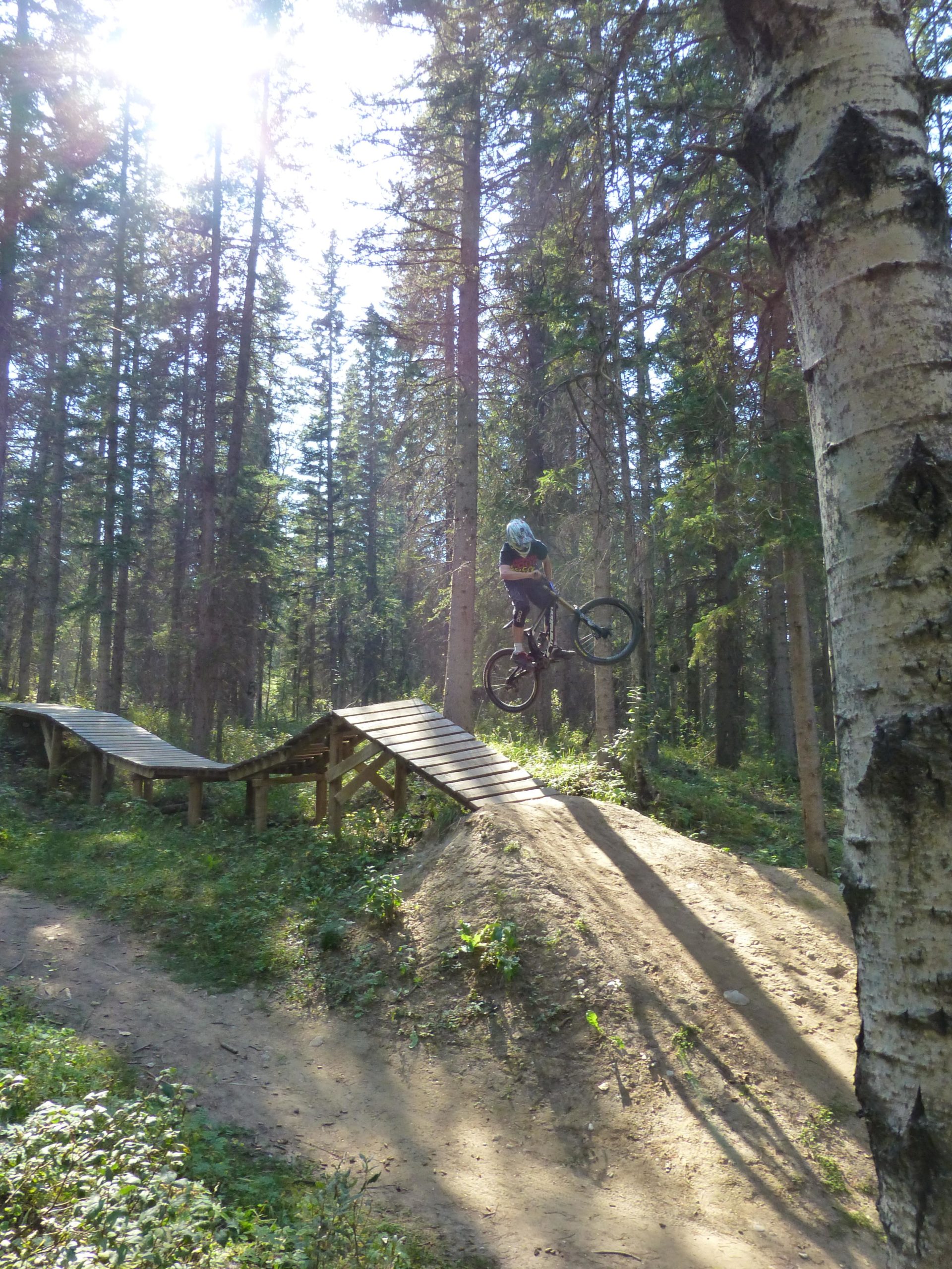 A mountain biker performs a jump over a wooden ramp in a forested area, surrounded by tall trees and dappled sunlight. The biker is airborne, showcasing a dynamic pose while wearing a helmet and protective gear. Hinton Skills Park mountain bike trail.