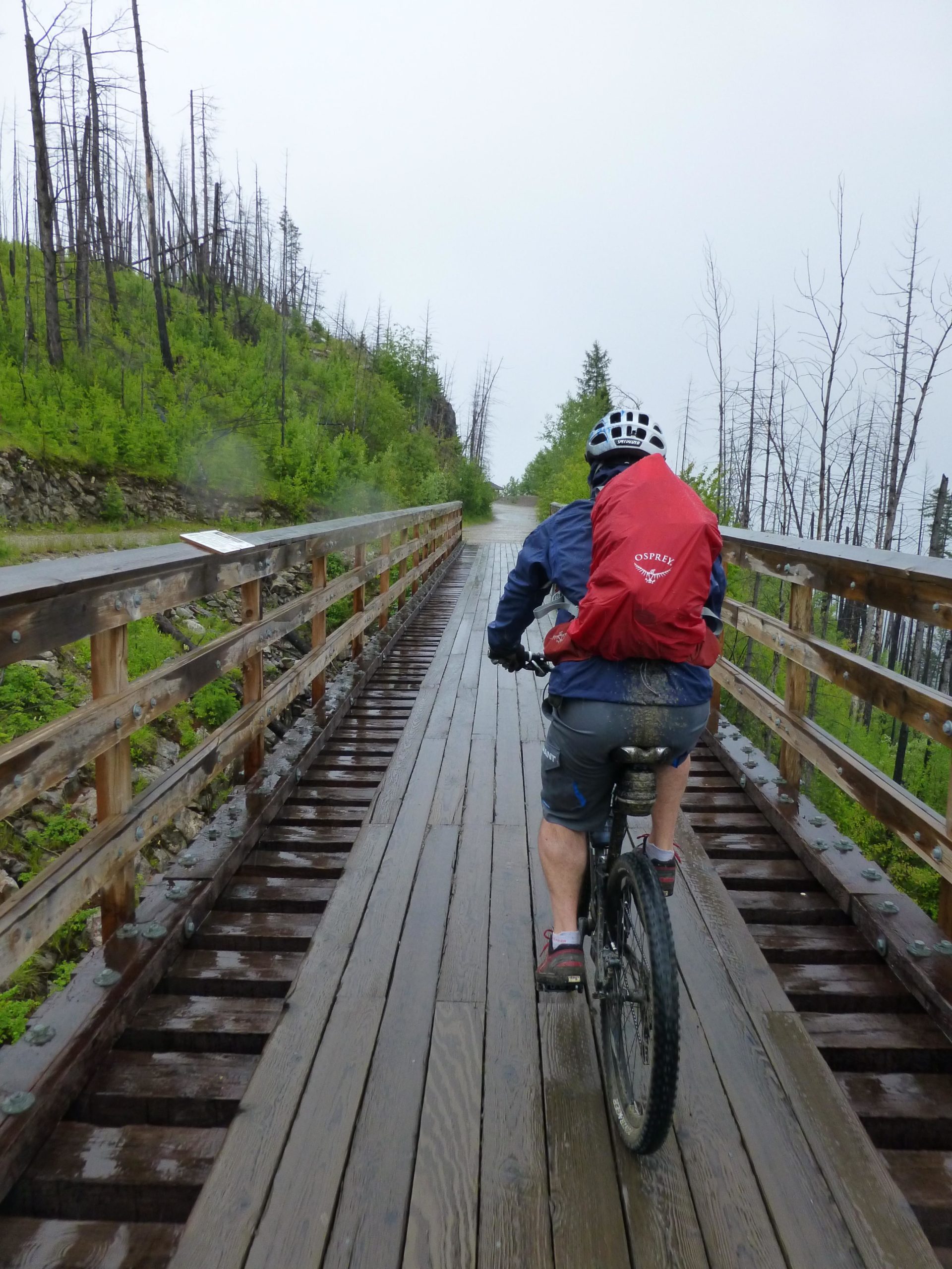 A cyclist riding on a wooden bridge through a misty landscape. The path is flanked by a mix of green foliage and charred tree stumps, suggesting a recovering forest after a fire. The weather appears rainy, adding a moody atmosphere to the scene. The cyclist is wearing a helmet and a red backpack. Kettle Valley Railway Trail (KVR) Myra Canyon to Penticton return mountain bike trail.