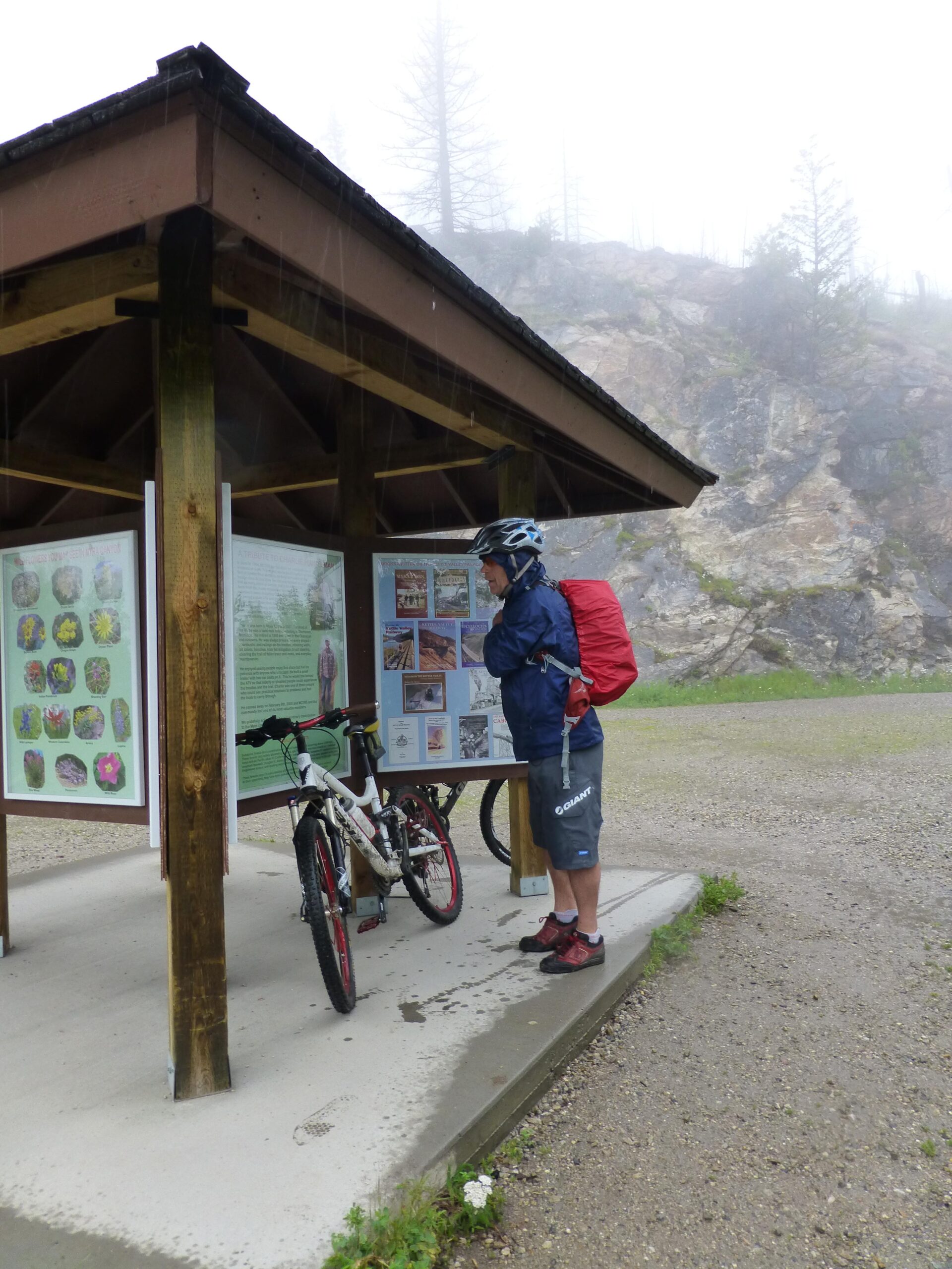 A person in a blue rain jacket and helmet stands at a covered information kiosk, examining display panels about local flora and fauna. A bicycle leans against the kiosk, and rain is falling, creating a misty atmosphere with trees in the background. The ground is wet, indicating recent precipitation. Kettle Valley Railway Trail (KVR) Myra Canyon to Penticton return mountain bike trail.