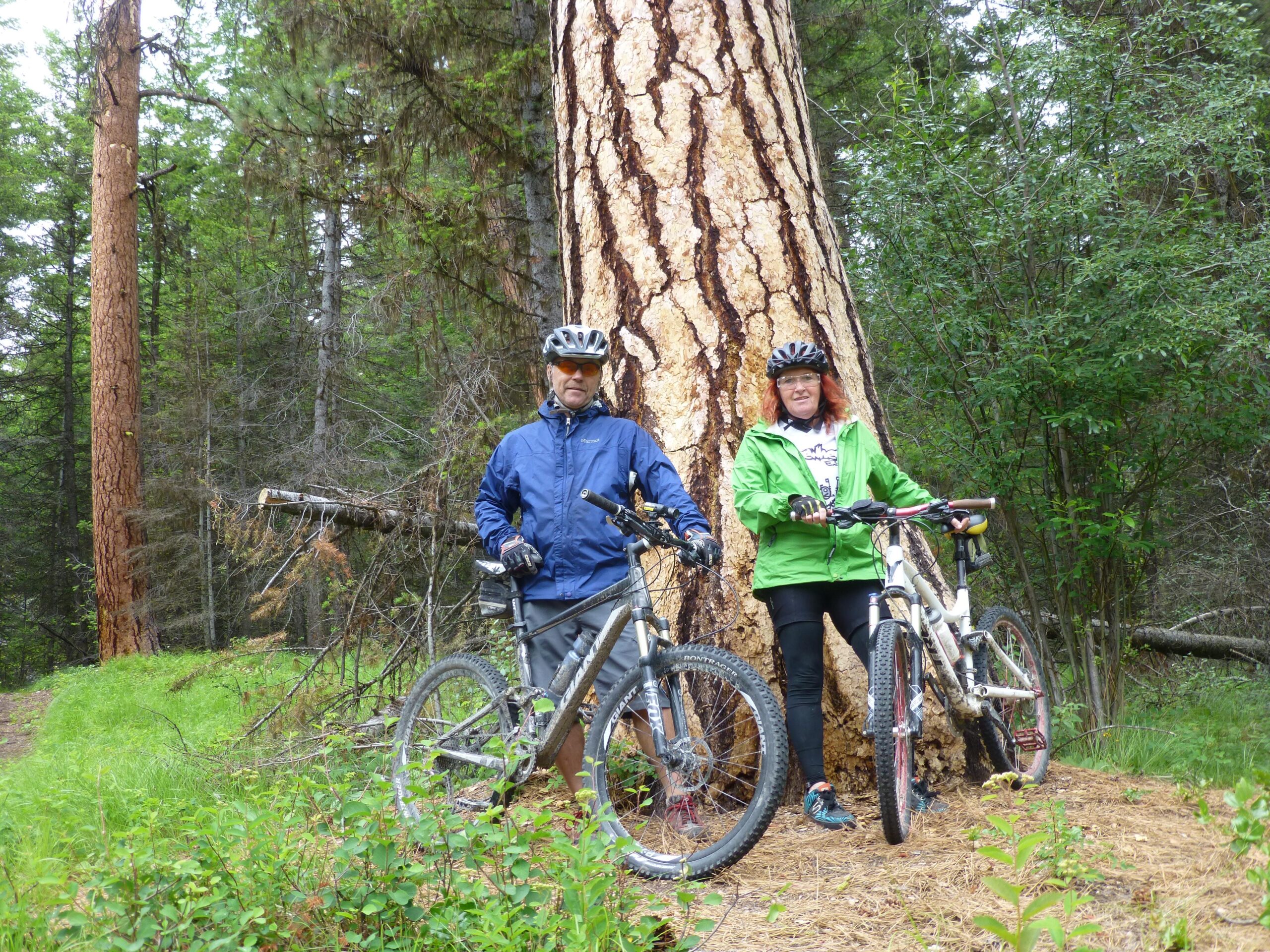 Two mountain bikers pose beside a large tree in a lush, green forest. The person on the left is wearing a blue jacket and a helmet, while the person on the right is in a green jacket and also wearing a helmet. Each is holding their mountain bike, surrounded by greenery and tall trees. Kettle Valley Railway Trail (KVR) Myra Canyon to Penticton return mountain bike trail.