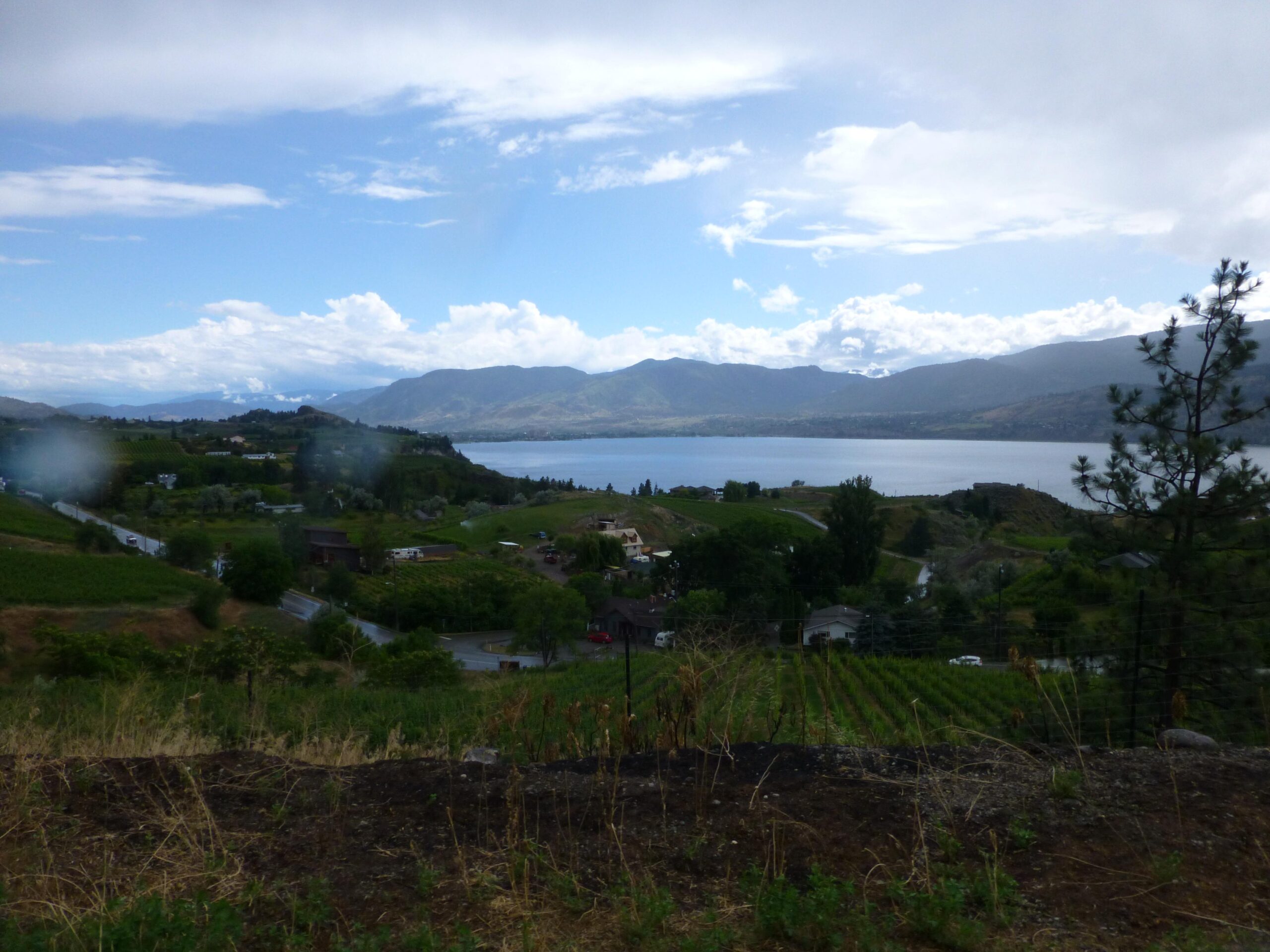 A scenic landscape featuring a lake surrounded by rolling hills and mountains under a partly cloudy sky. In the foreground, there are vineyards and a small residential area, with winding roads visible. The vibrant greenery contrasts with the blue lake and distant mountain range. Kettle Valley Railway Trail (KVR) Myra Canyon to Penticton return mountain bike trail.