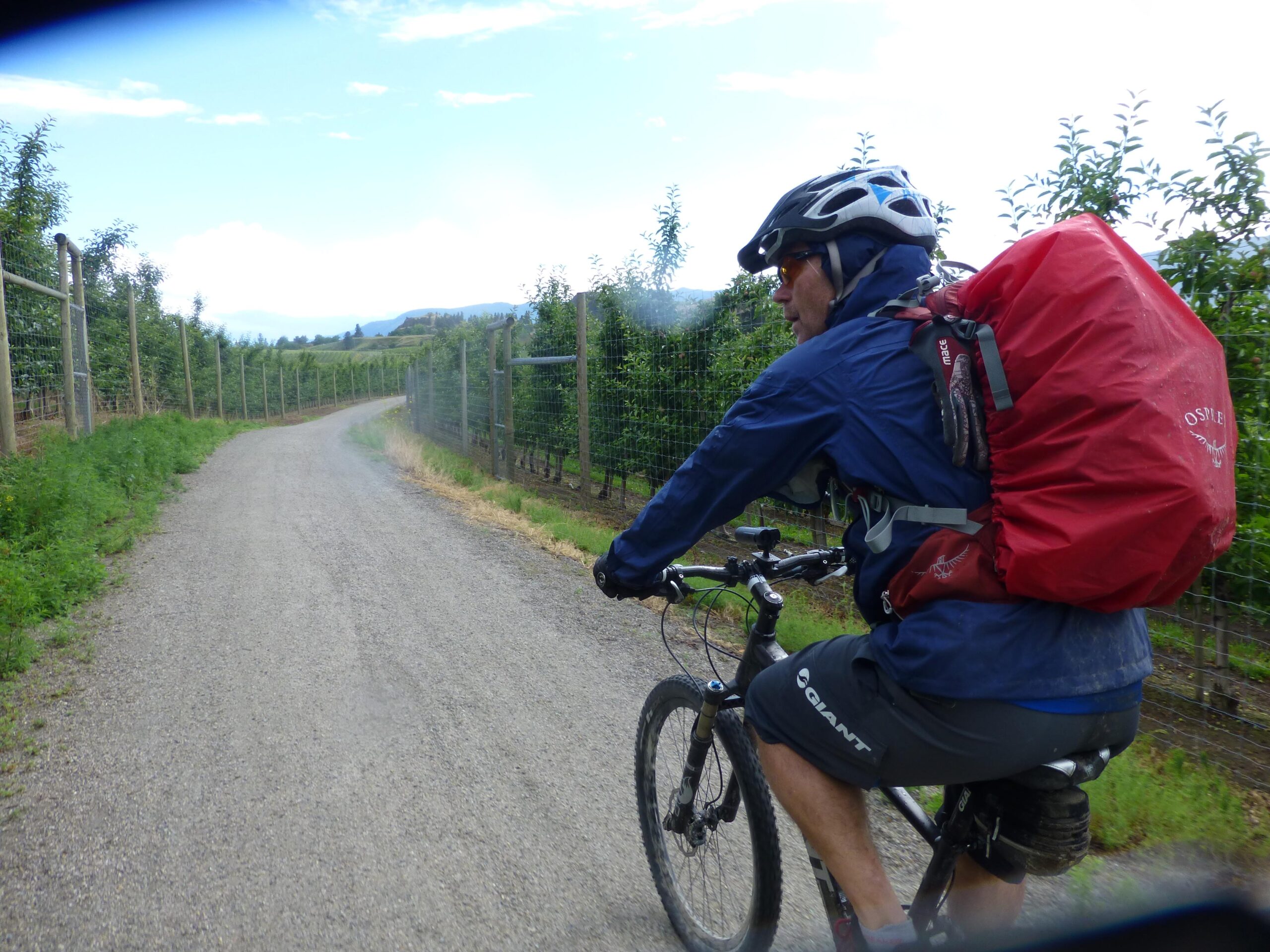 A cyclist wearing a helmet and a blue jacket rides a mountain bike along a gravel path lined with trees in a vineyard. The path curves gently into the distance under a partly cloudy sky. A large red backpack is secured on the cyclist's back. Kettle Valley Railway Trail (KVR) Myra Canyon to Penticton return mountain bike trail.