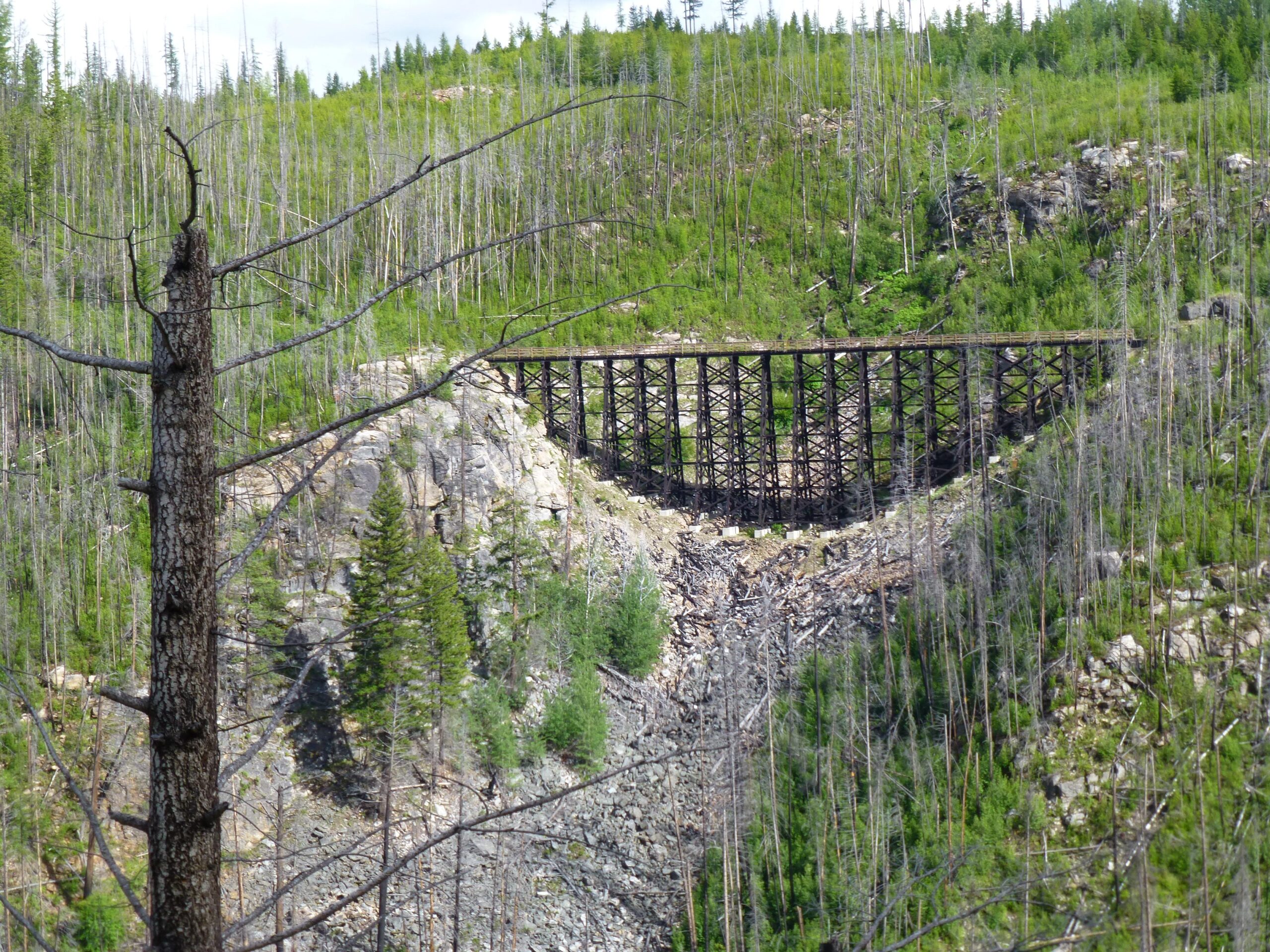 A wooden railroad trestle bridge spans a rocky ravine surrounded by tall, green trees. The landscape features both healthy vegetation and dead tree trunks, indicating recent forest activity. The sky is partly cloudy, contrasting with the vibrant greenery below. Kettle Valley Railway Trail (KVR) Myra Canyon to Penticton return mountain bike trail.