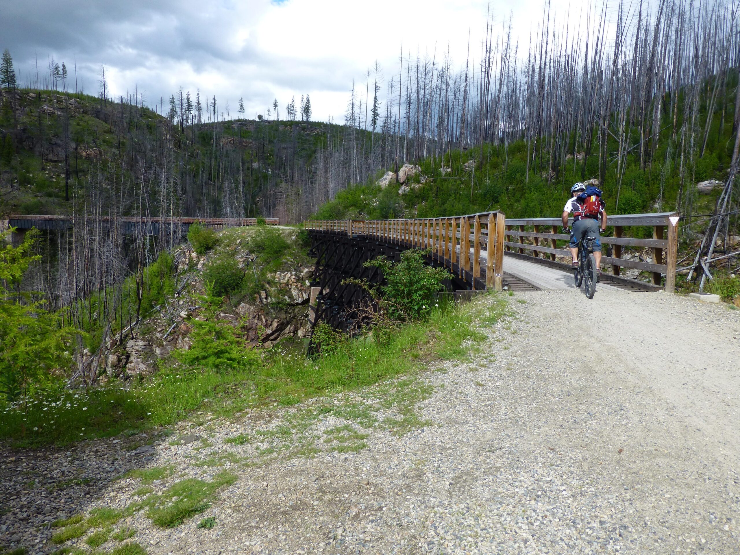 A cyclist rides along a gravel path that leads to a wooden bridge crossing a ravine, surrounded by lush greenery and tall, charred tree stumps from a past fire. The sky is partly cloudy, and the landscape features rolling hills in the background. Kettle Valley Railway Trail (KVR) Myra Canyon to Penticton return mountain bike trail.