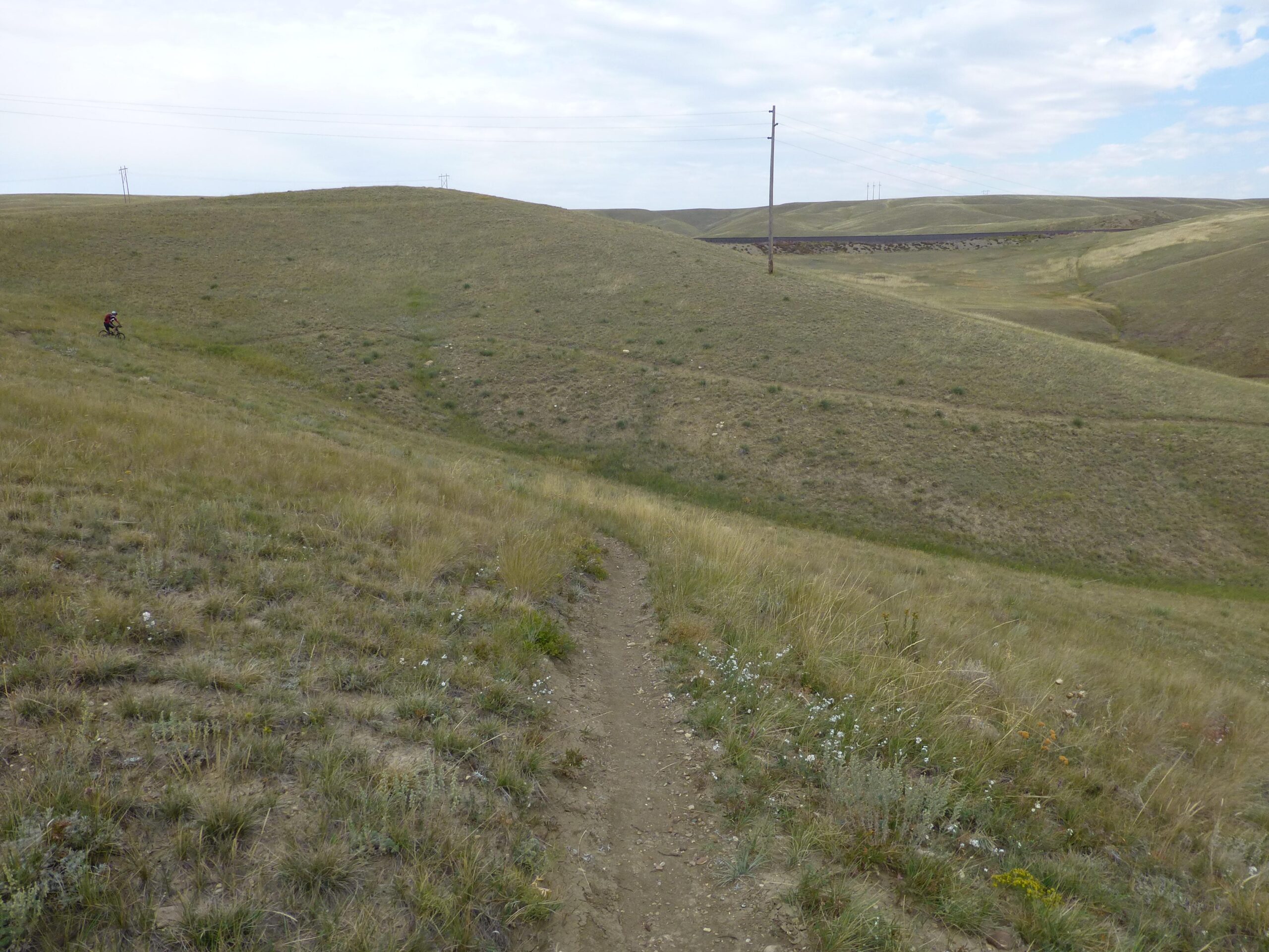 A dirt path meanders through rolling grassy hills under a partly cloudy sky. A cyclist is seen in the distance, riding along the incline. Power lines run parallel to the hills in the background. Wildflowers dot the grassy terrain, adding splashes of color to the landscape. New Video Game/Yeah Kid mountain bike trail.