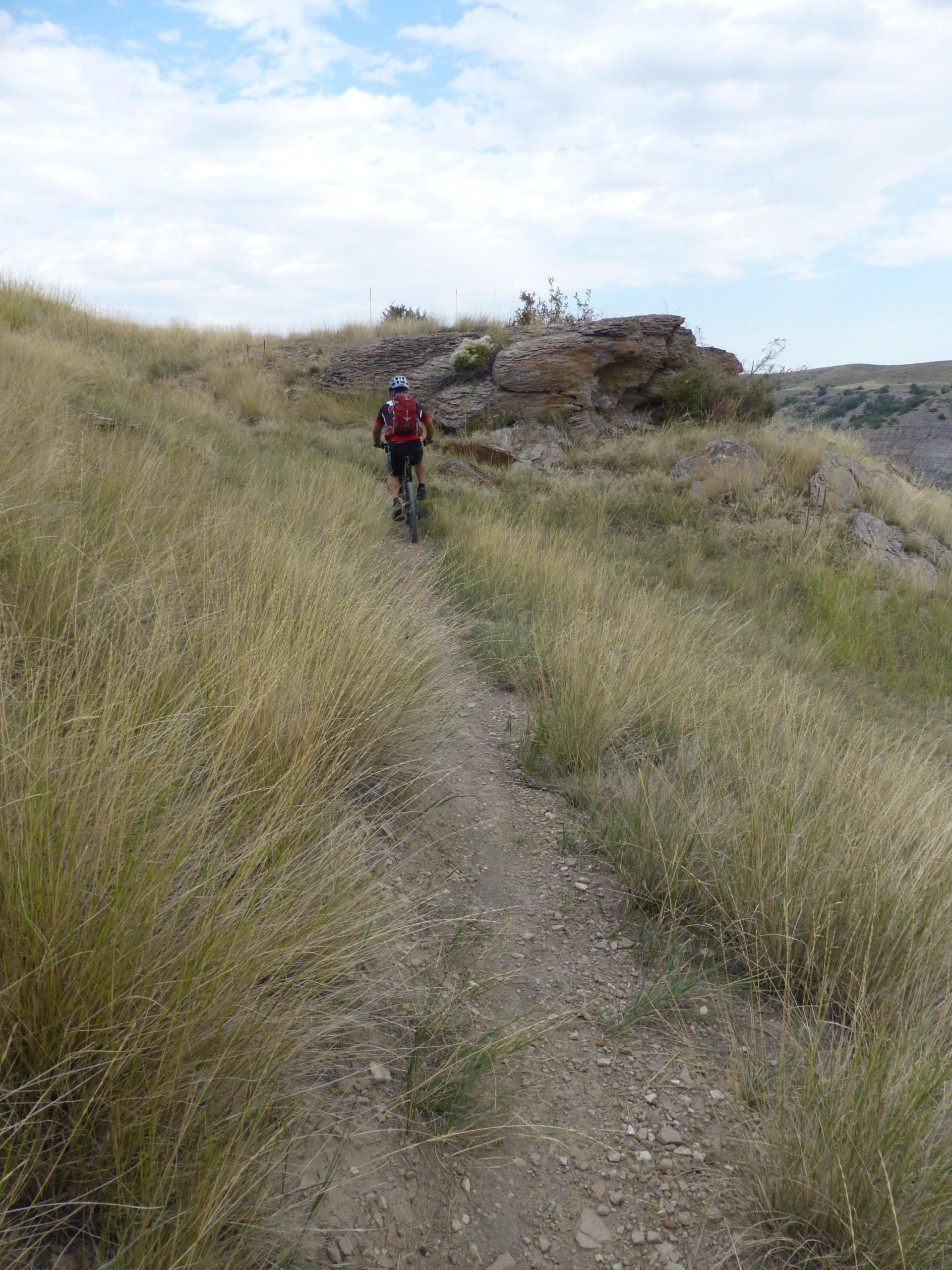 A person riding a mountain bike along a dirt trail bordered by tall grass and rocks, with a cloudy sky above and rolling hills in the background. New Video Game/Yeah Kid mountain bike trail.