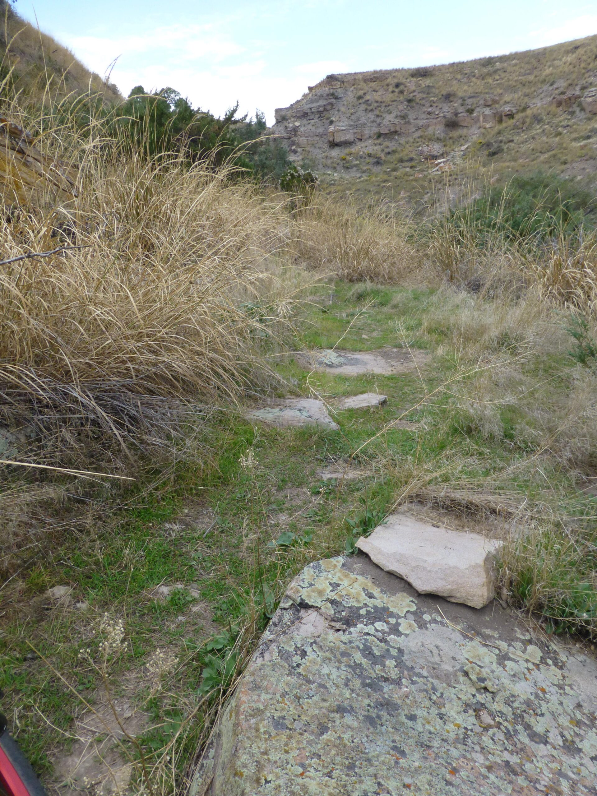 A dirt path surrounded by tall, dry grass and scattered rocks, leading towards a hilly landscape under a partially cloudy sky. New Video Game/Yeah Kid mountain bike trail.