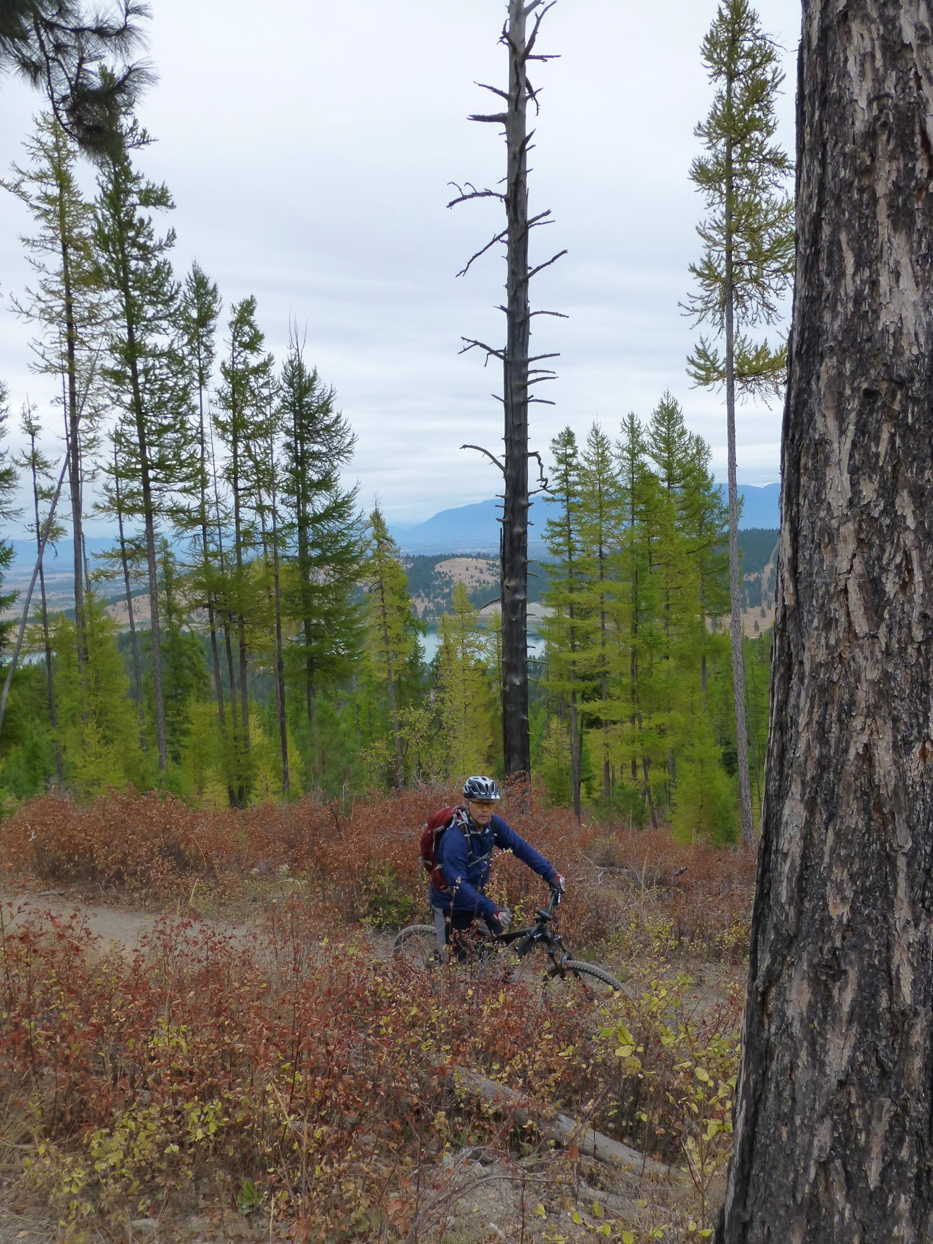 A mountain biker navigating a dirt trail surrounded by trees and shrubs in a forested mountainous area. The background features a view of a lake and hills under a cloudy sky. Herron Park/foys To Blacktail Trail mountain bike trail.