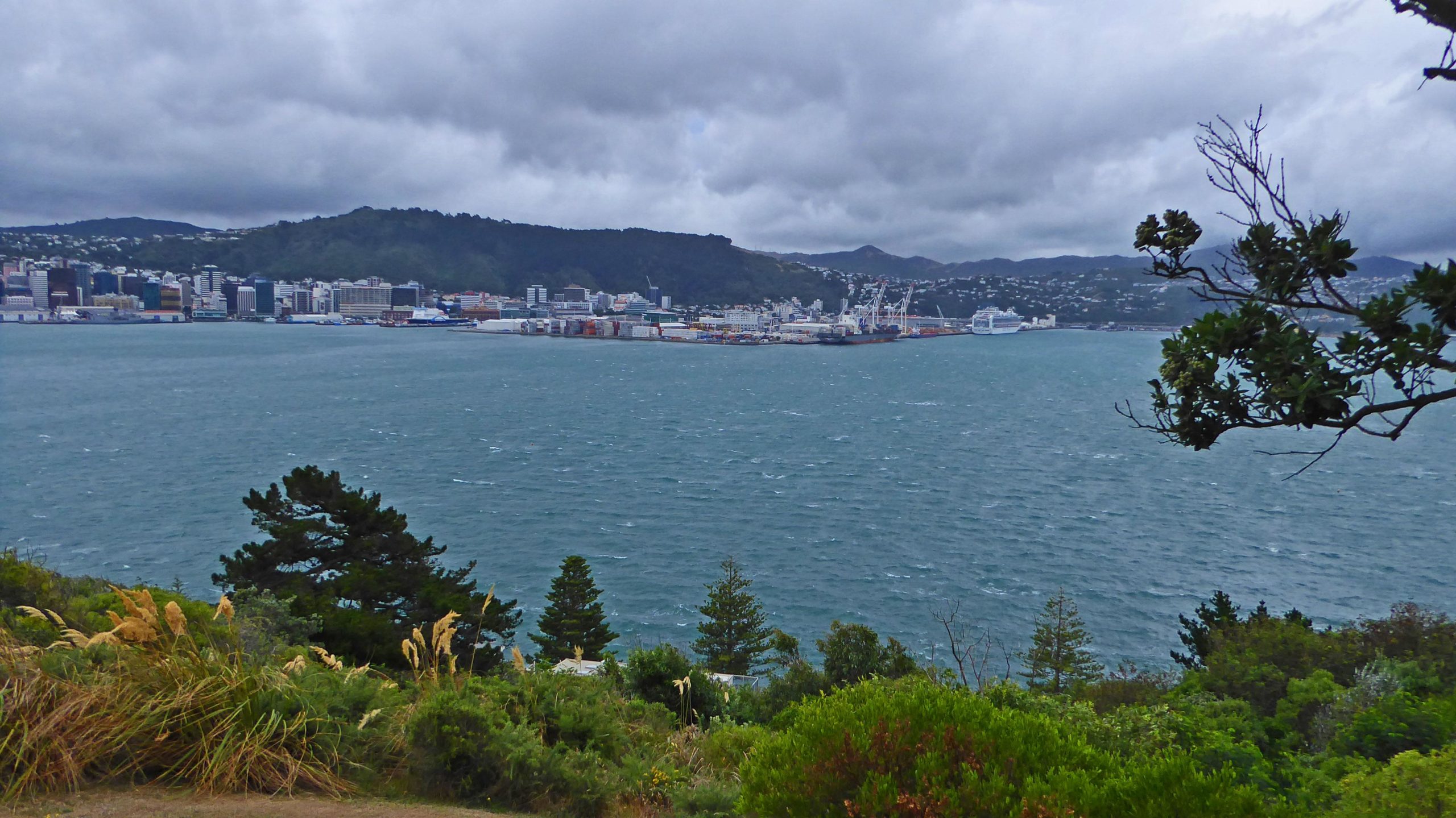 A panoramic view of a coastal city with a bustling harbor, set against a backdrop of rolling green hills and overcast skies. The scene features a body of water in the foreground, with various ships and containers visible at the docks. Lush greenery and trees line the shoreline, adding to the natural beauty of the landscape. Mt Victoria mountain bike trail.