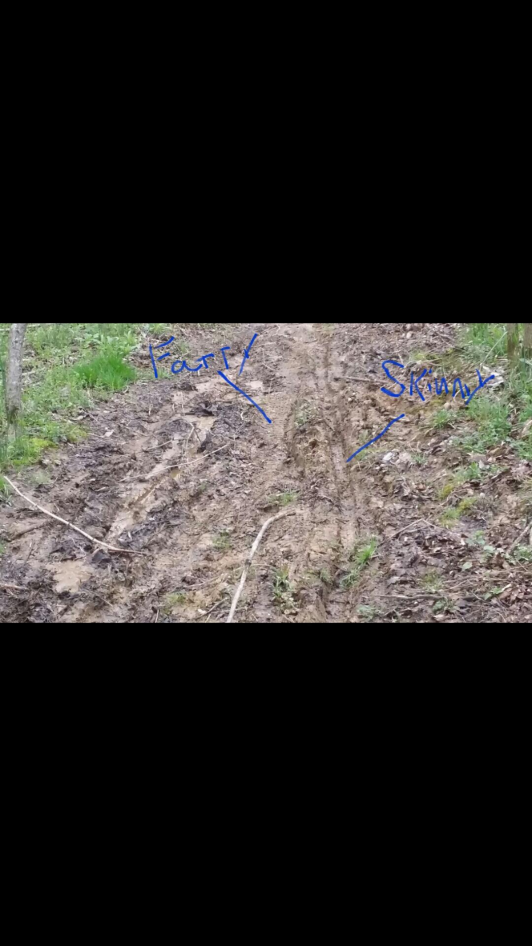 A muddy trail in a forest, featuring two distinguishable tire tracks labeled "Fatty" and "Skinny." The surrounding area includes patches of grass and fallen leaves. Versailles State Park mountain bike trail.
