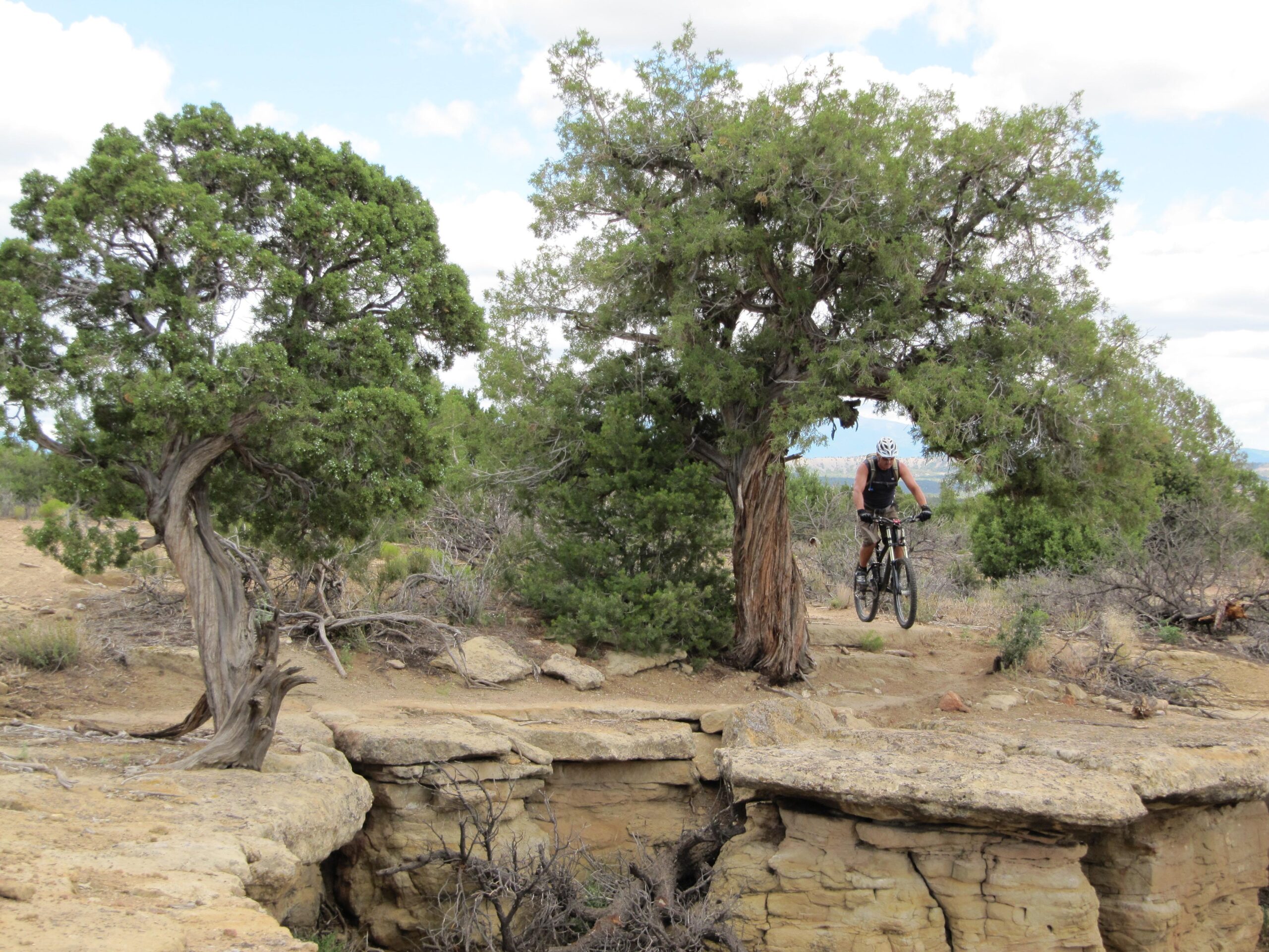 Specialized S-Works Enduro SL Carbon: A mountain biker jumps off a rocky ledge, navigating between two trees in a rugged outdoor setting. The landscape features dry earth, scattered shrubs, and a blue sky with some clouds.