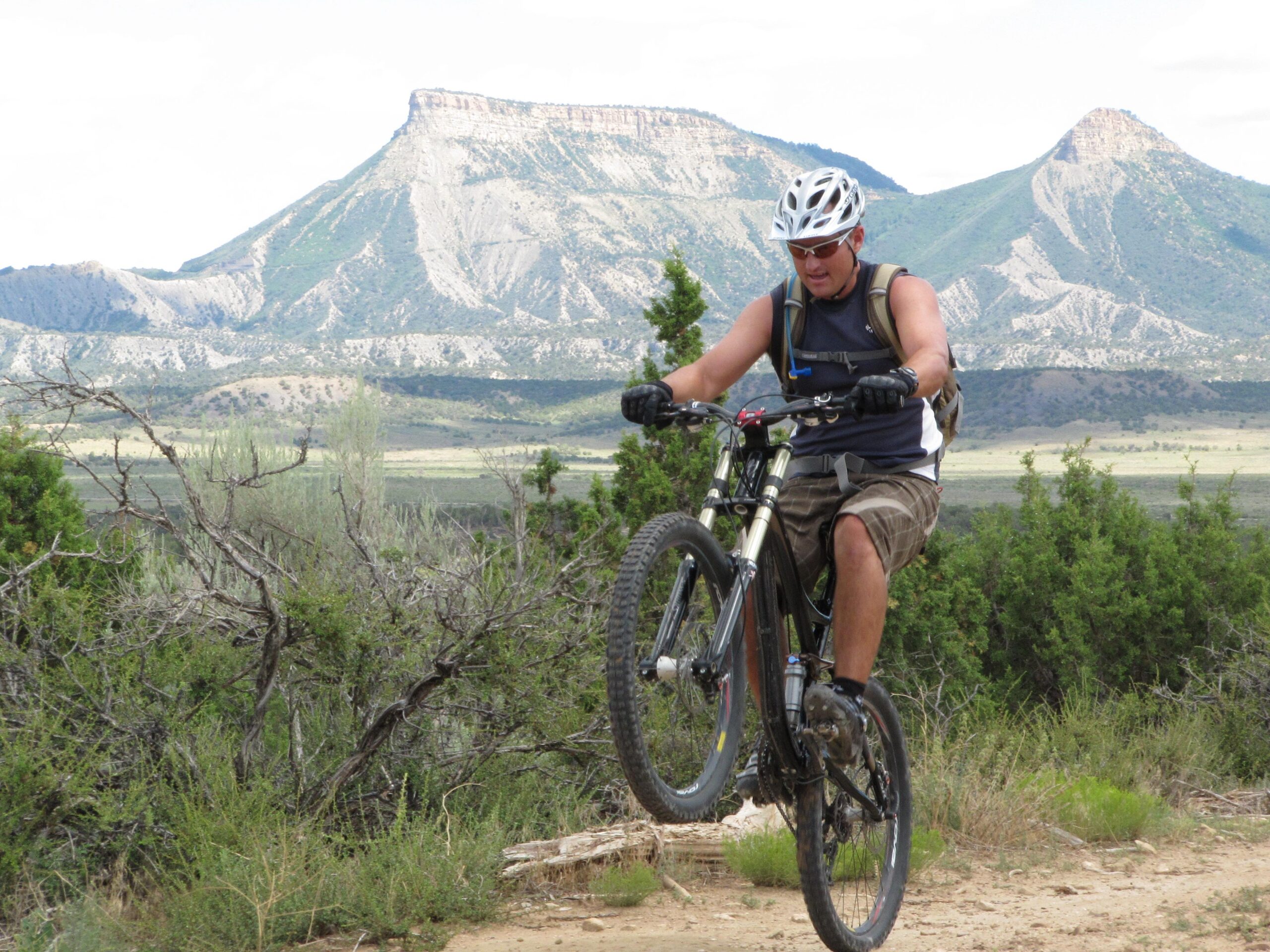 Specialized S-Works Enduro SL Carbon: A mountain biker performing a wheelie on a dirt trail, with a scenic backdrop of mountains and greenery under a cloudy sky.