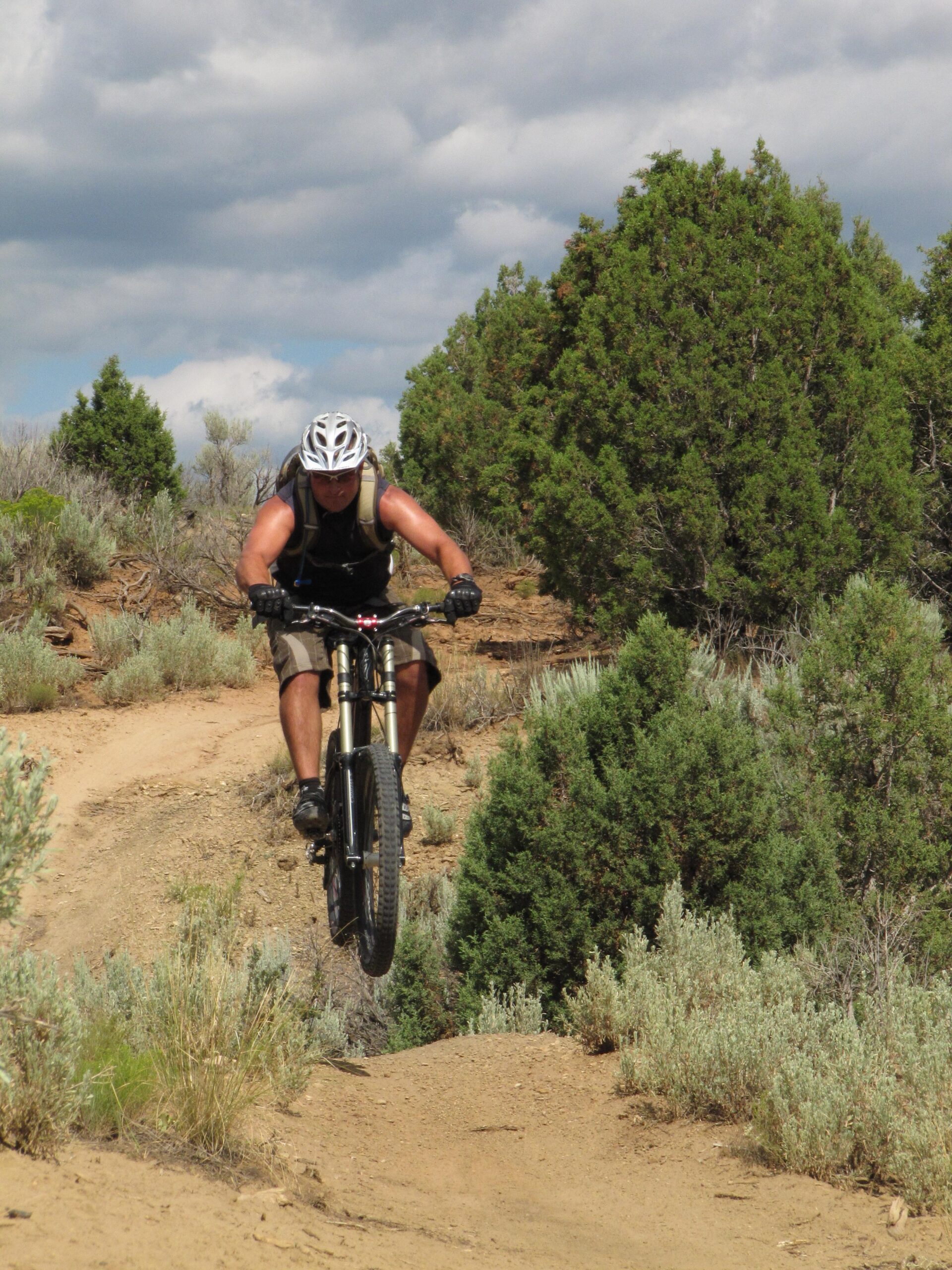 Specialized S-Works Enduro SL Carbon: A mountain biker in a black tank top and helmet jumps off a dirt trail, surrounded by sparse vegetation and bushes under a partly cloudy sky.