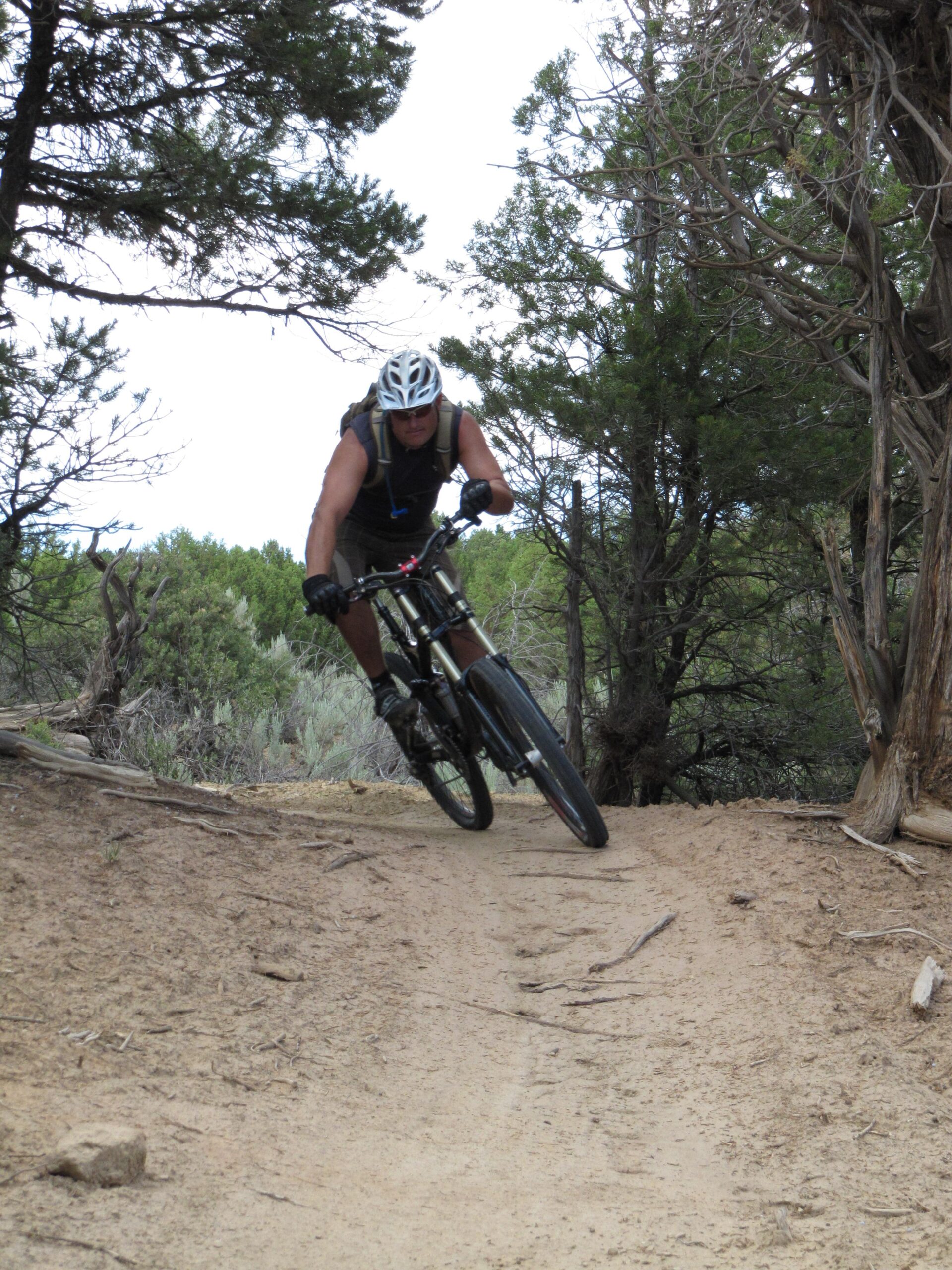 Specialized S-Works Enduro SL Carbon: A person riding a mountain bike on a dirt trail surrounded by trees, leaning forward as they navigate the terrain. The scene captures the dynamic movement of biking in a natural outdoor setting.