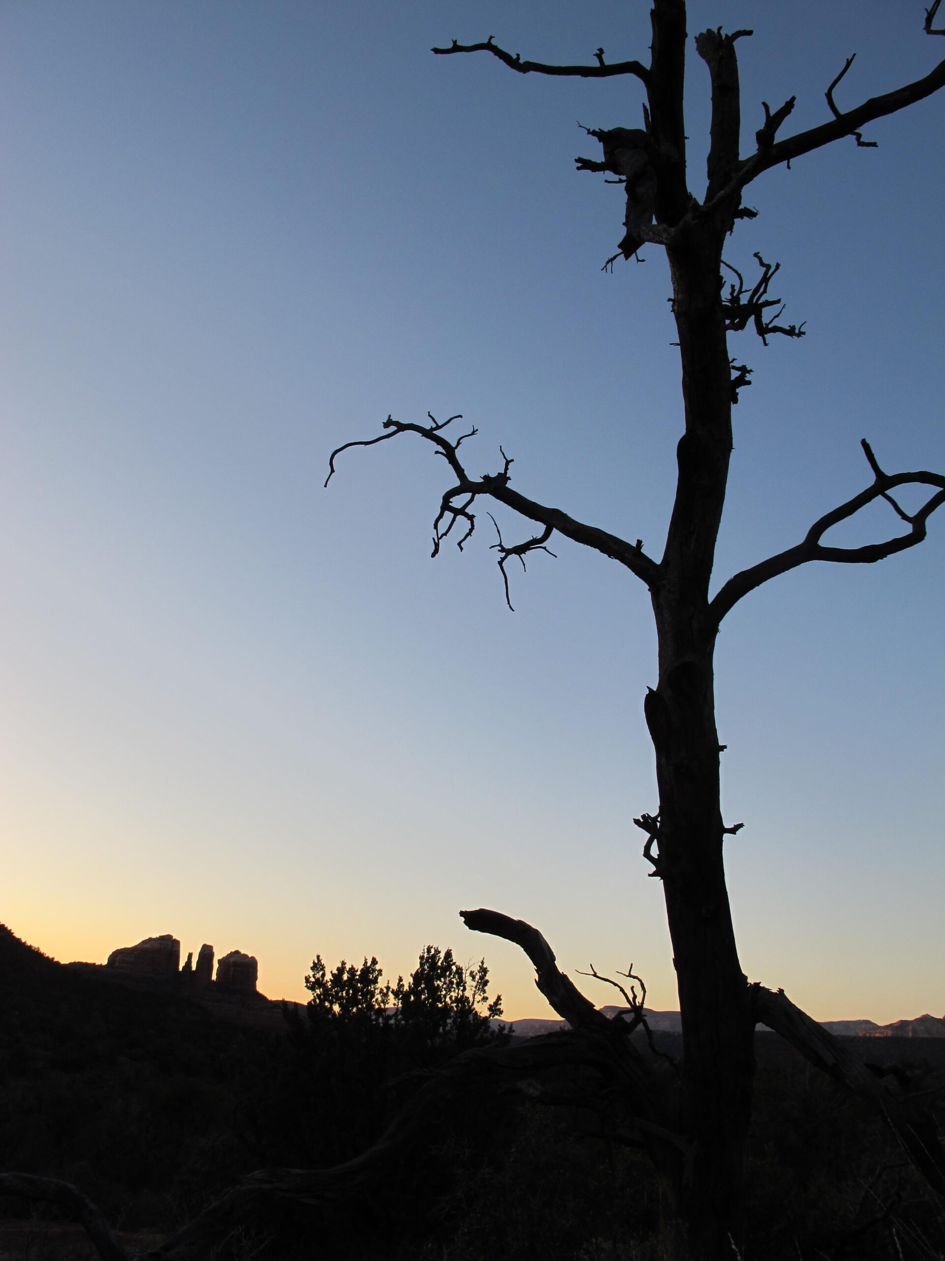 Silhouette of a barren tree against a twilight sky, with distant rock formations visible on the horizon as the sun sets. Bell Rock Area Trails mountain bike trail.