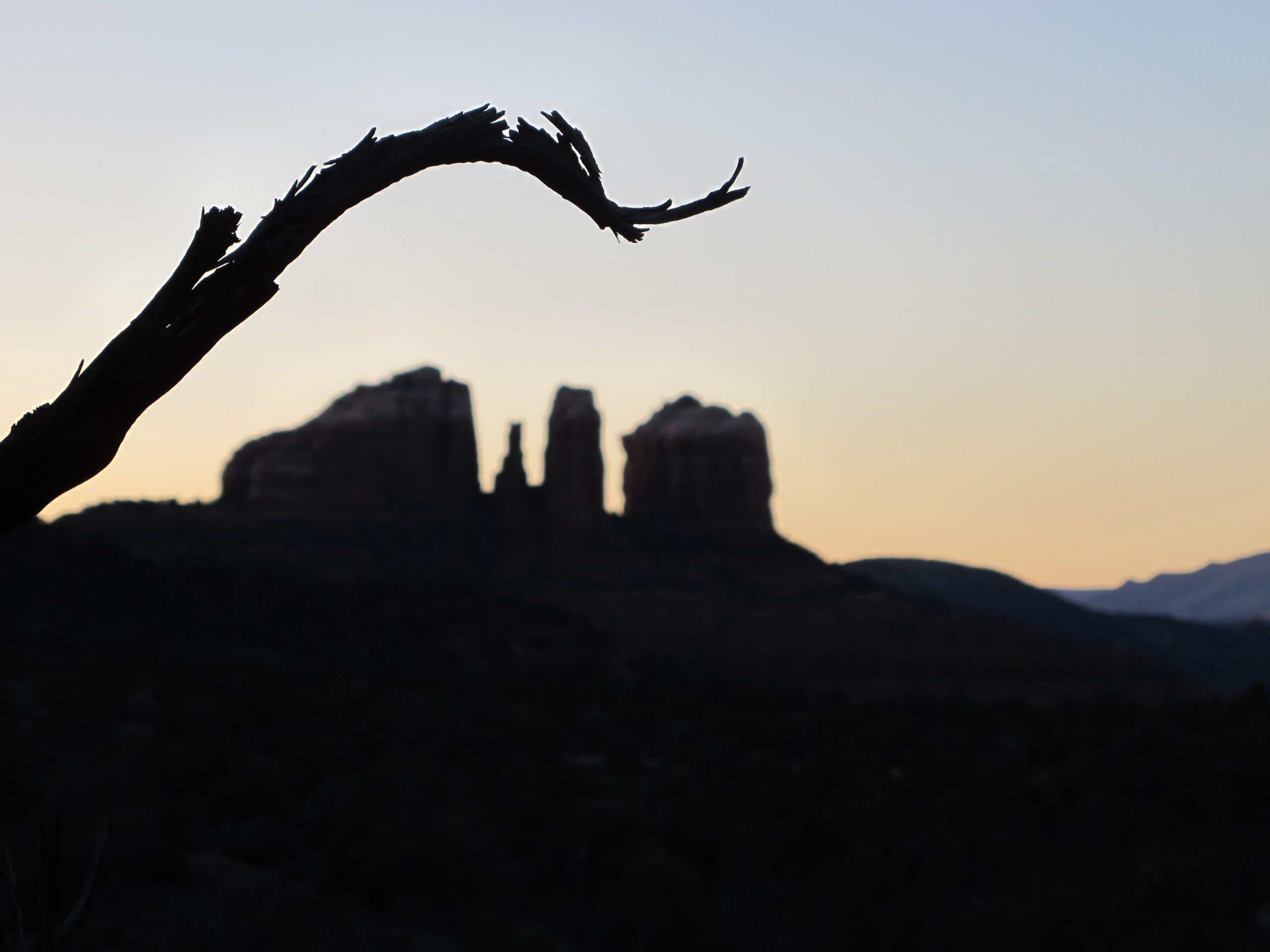 Silhouette of a bent branch in the foreground with a backdrop of rocky formations at dusk, showcasing layers of mountains against a gradient sky transitioning from light to dark. Bell Rock Area Trails mountain bike trail.