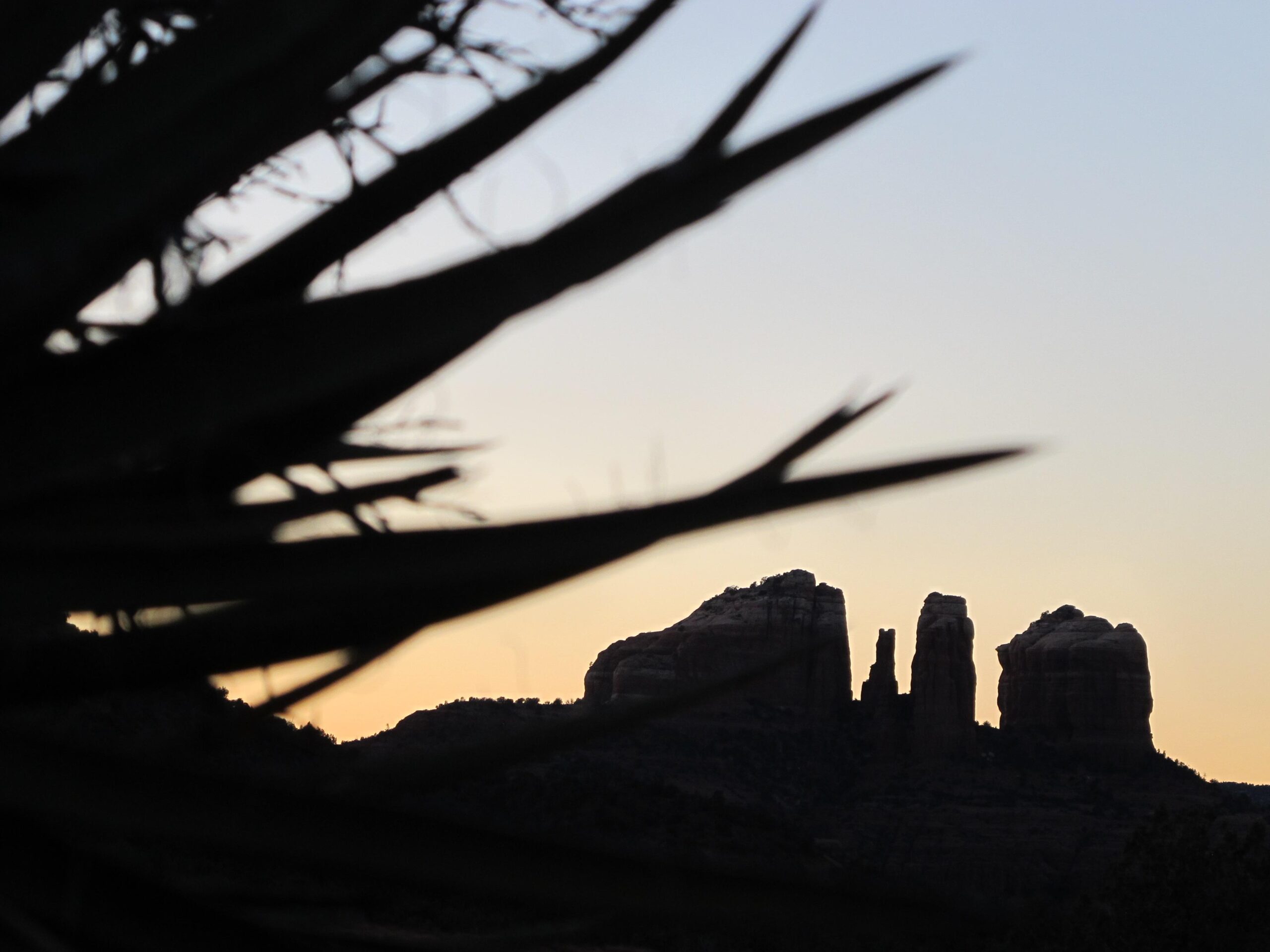 Silhouette of rocky formations at sunset, framed by the sharp leaves of a nearby plant. The sky transitions from soft evening hues to twilight shades, highlighting the natural landscape. Bell Rock Area Trails mountain bike trail.