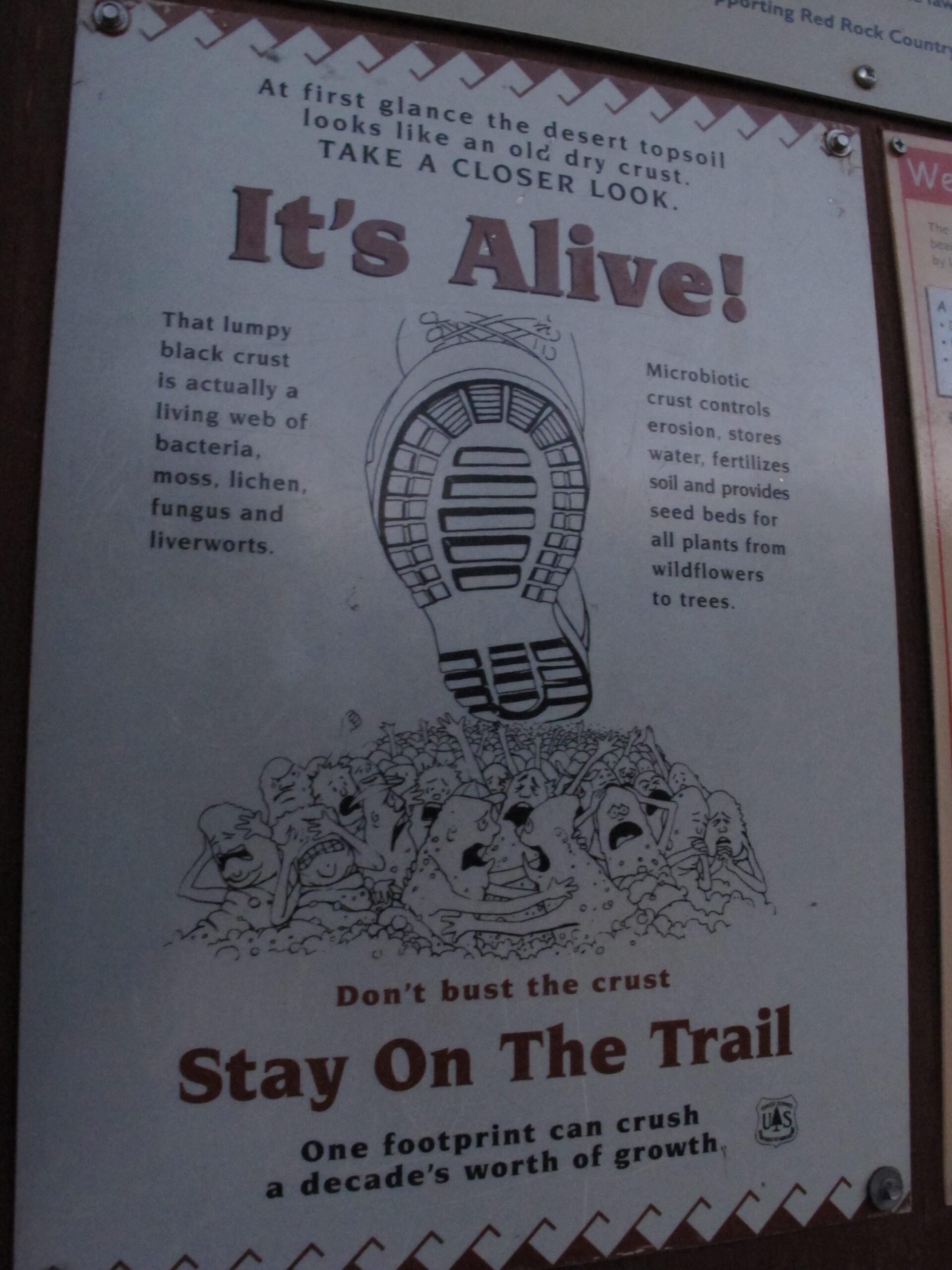 Sign explaining the importance of microbiotic crust in desert ecosystems. It features a boot print and warns against stepping off trails, emphasizing that the black crust is a living web of bacteria, moss, lichen, fungus, and liverworts. The sign highlights its role in erosion control, water storage, soil fertilization, and supporting plant life. Bell Rock Area Trails mountain bike trail.