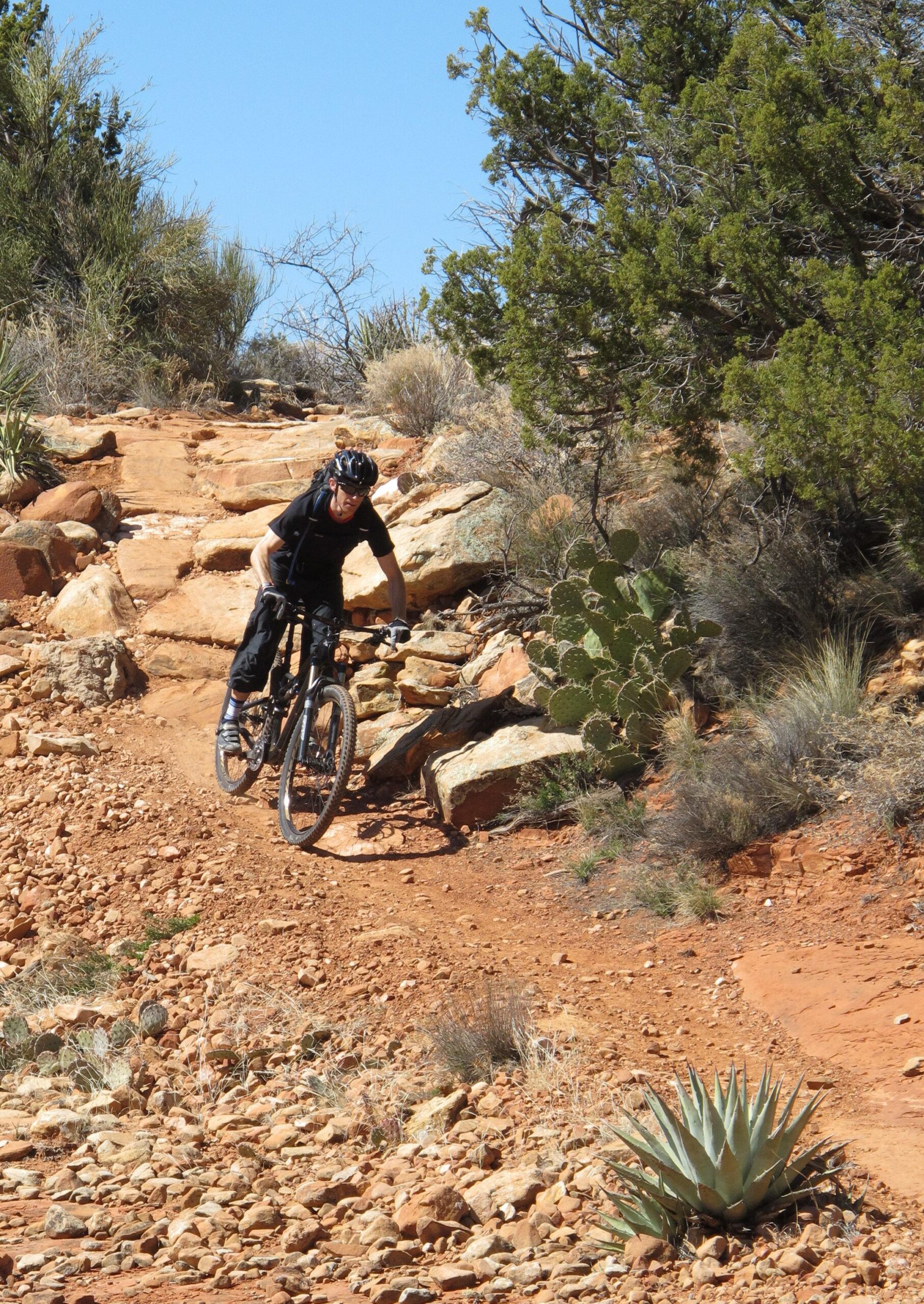 A mountain biker navigating a rocky trail in a desert landscape, surrounded by sparse vegetation including cacti and shrubs under a clear blue sky. Bell Rock Area Trails mountain bike trail.