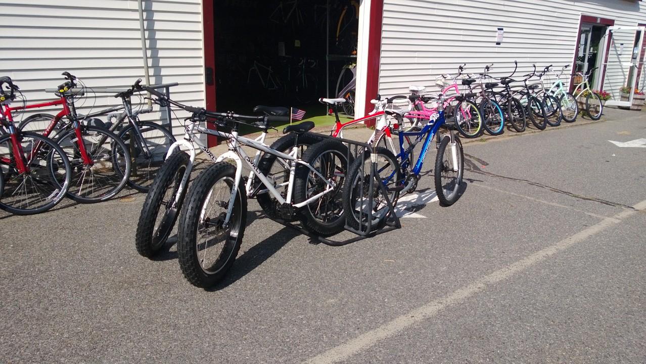 A row of bicycles parked outside a shop, with several mountain and fat tire bikes in the foreground, including a white one labeled "Surly" and a blue one. In the background, various colorful bicycles are lined up against a white building.