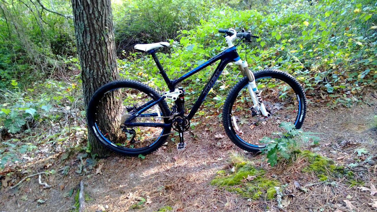 Trek Fuel EX 9.7 29: A mountain bike leaning against a tree in a forested area, surrounded by greenery and forest floor debris. The bike features a blue and white design with thick tires, suitable for off-road cycling.