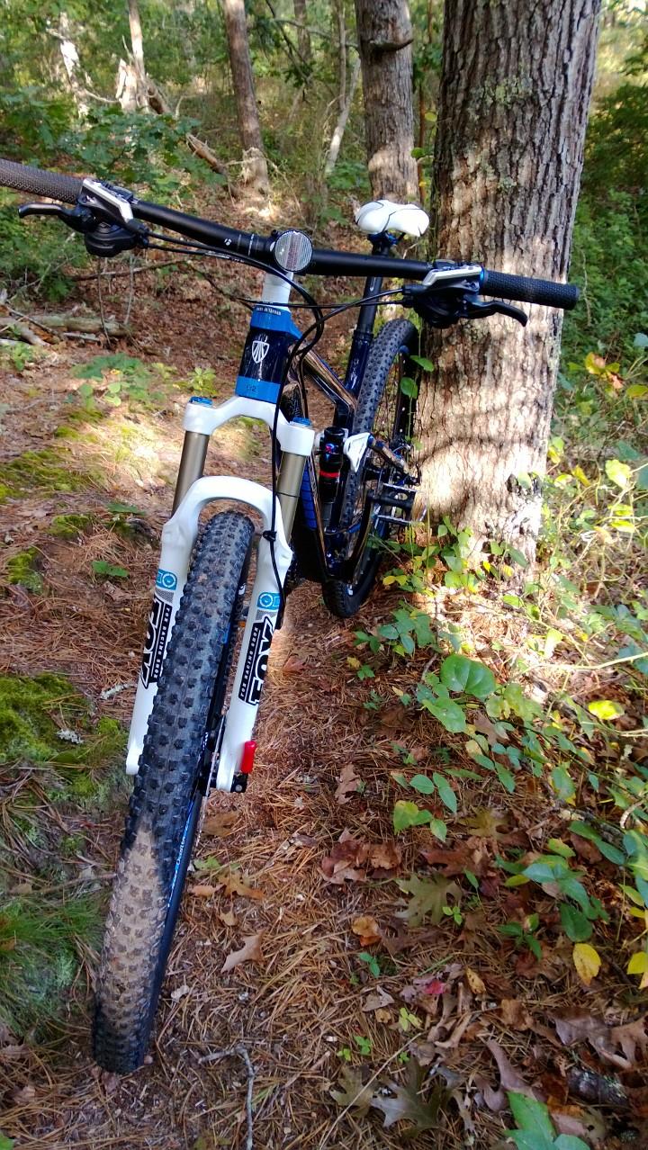 Trek Fuel EX 9.7 29: A mountain bike leaning against a tree on a wooded trail, surrounded by pine needles and various green and brown foliage. The bike features a blue and black frame, suspension forks, and knobby tires, highlighting its design for off-road riding. Sunlight filters through the trees, creating a natural and serene atmosphere.