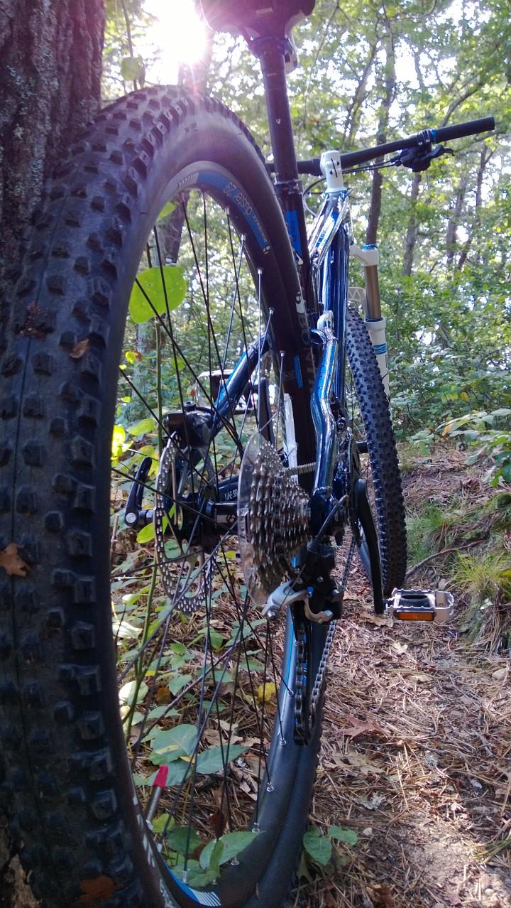 Trek Fuel EX 9.7 29: A close-up view of a mountain bike leaning against a tree on a woodland trail. The image captures the rear wheel and drivetrain, with sunlight filtering through the trees in the background. Lush greenery surrounds the bike, creating a natural outdoor setting.