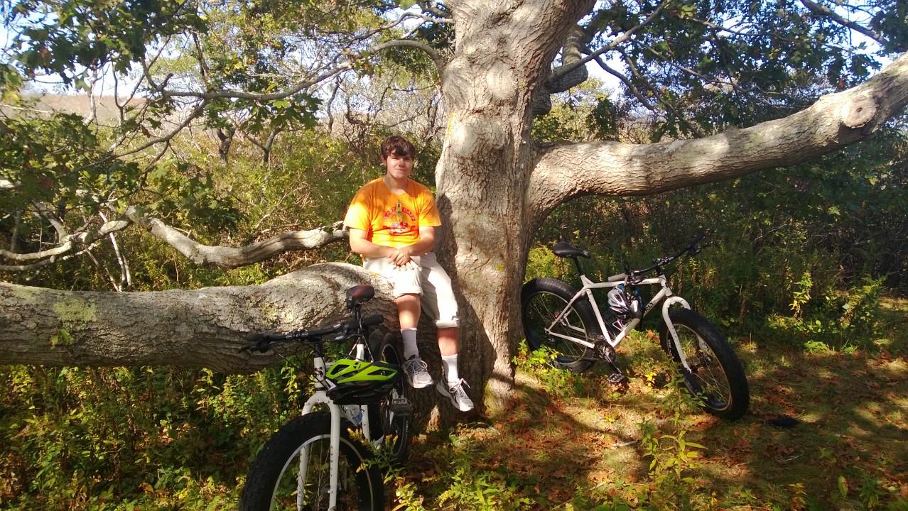 Surly Pugsley: A young person sits on a large tree branch, surrounded by greenery, with two bicycles resting nearby. The individual is wearing an orange shirt and white shorts, enjoying a moment in nature. Sunlight filters through the leaves, creating a warm atmosphere.