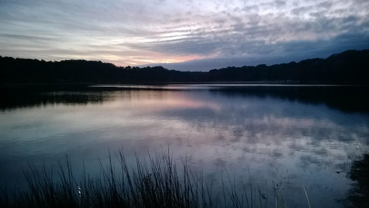 A serene view of a lake during sunset, with calm waters reflecting the colors of the sky. Silhouetted trees line the background, and tall grasses frame the foreground. The sky features soft clouds in hues of pink and gray. Volunteer Park/Chatham Ponds mountain bike trail.