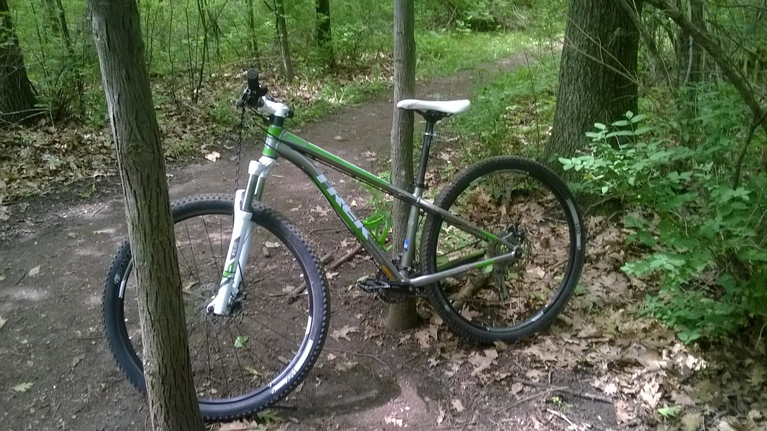 A mountain bike with a green and silver frame is parked next to a tree on a dirt trail surrounded by lush green foliage and fallen leaves. The trail winds through a wooded area. John Muir Trails mountain bike trail.