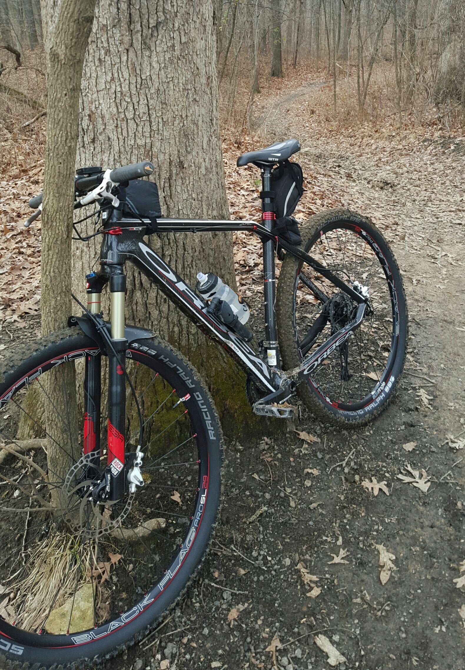 Orbea 2011 orbea alma s50: A mountain bike leaned against a tree in a wooded area, surrounded by fallen leaves and a dirt path that winds through the trees. The bike features a black and red design, with a water bottle mounted on the frame and a small bag attached to the handlebars.