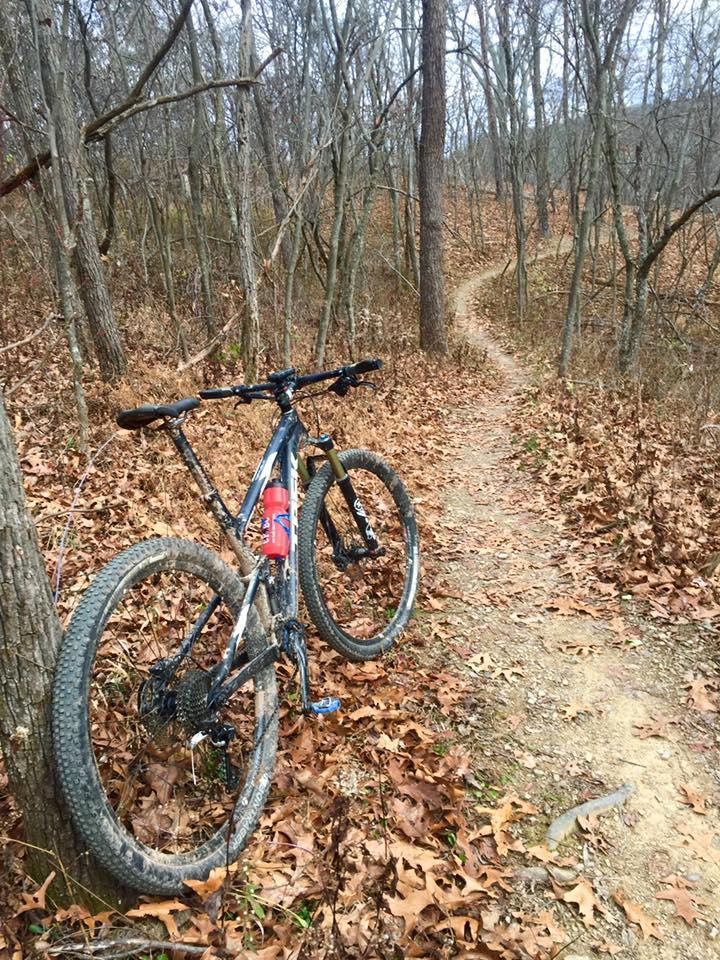 Trek 2016 Trek Top Fuel 8: A mountain bike leaned against a tree on a dirt trail surrounded by bare trees and fallen leaves, with a winding path visible in the background.