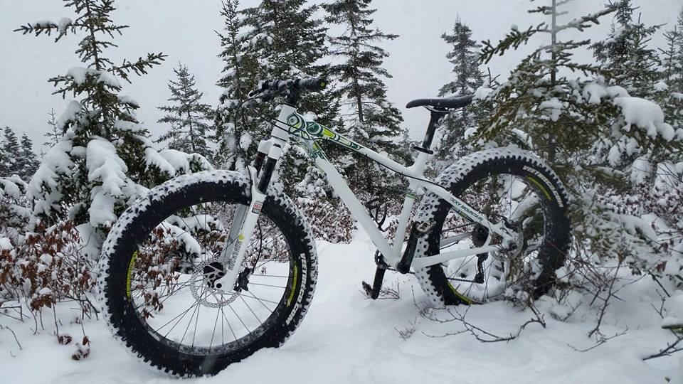 A fat tire mountain bike parked in a snowy landscape, surrounded by snow-covered trees and shrubs. The bike features wide tires designed for winter conditions, with a white frame and vibrant details. The scene is set in a quiet, wintry forest under overcast skies.