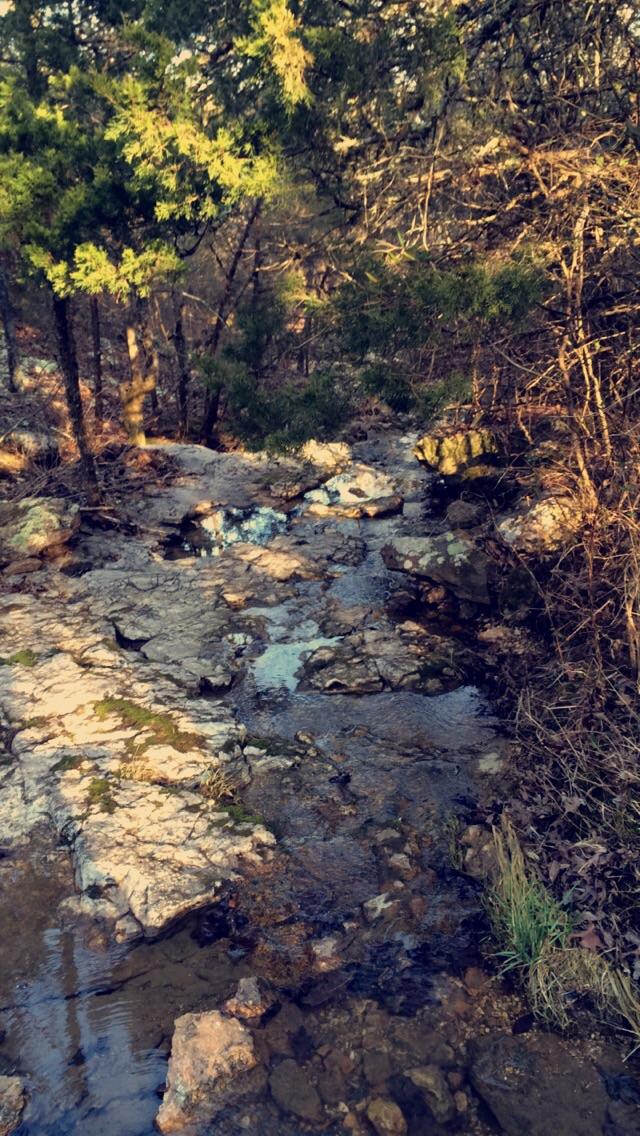 A serene outdoor scene depicting a rocky stream flowing through a wooded area. Sunlight filters through the trees, casting soft shadows on the water and rocks, with patches of green foliage along the banks. Forest City Trail mountain bike trail.