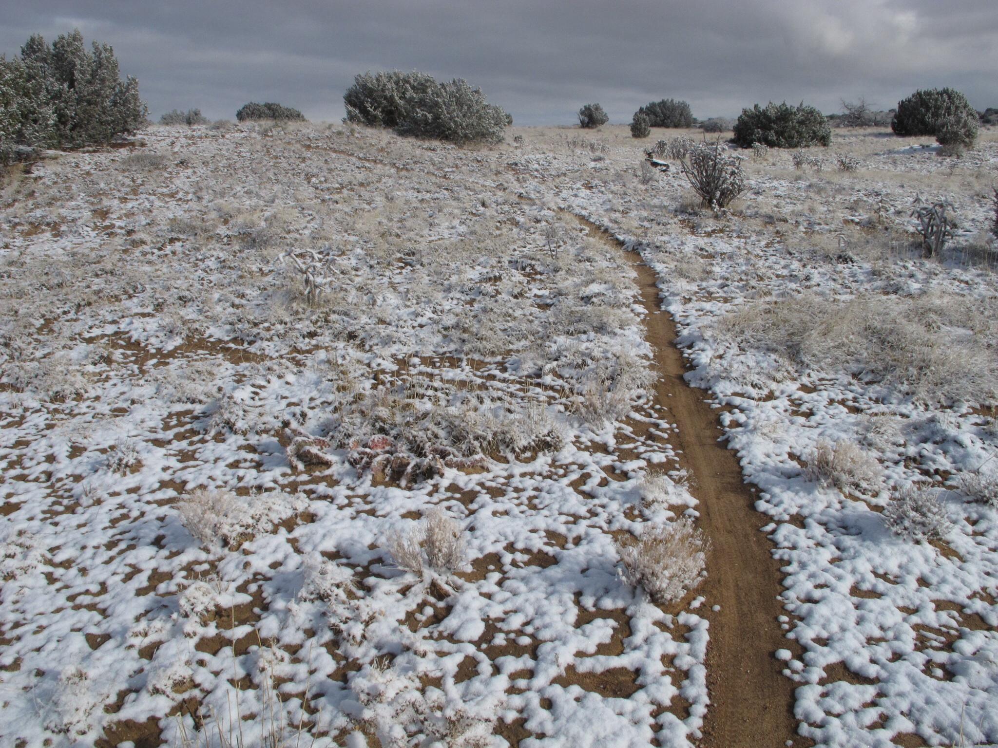 A dirt path winding through a snow-covered landscape, with patches of grass and sparse shrubs visible. The sky is overcast, creating a muted atmosphere, while the snow adds a soft texture to the ground. Parkway Fatbike trail mountain bike trail.