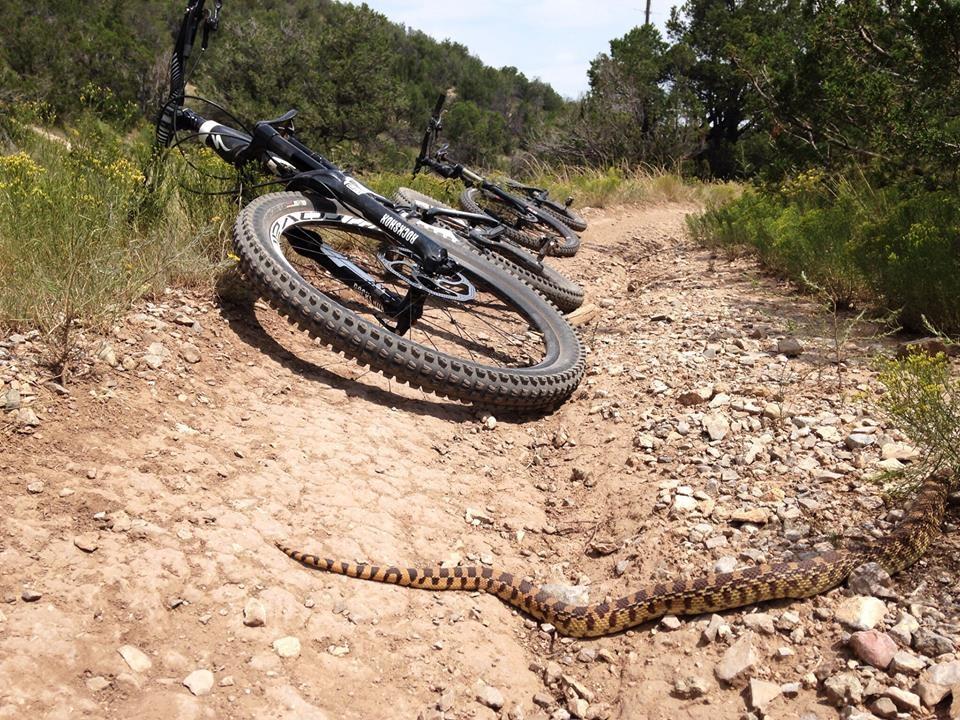 A mountain bike rests on a dirt trail with scattered rocks and vegetation, while a snake slithers across the path nearby. Cedro Singletrack (05625) mountain bike trail.