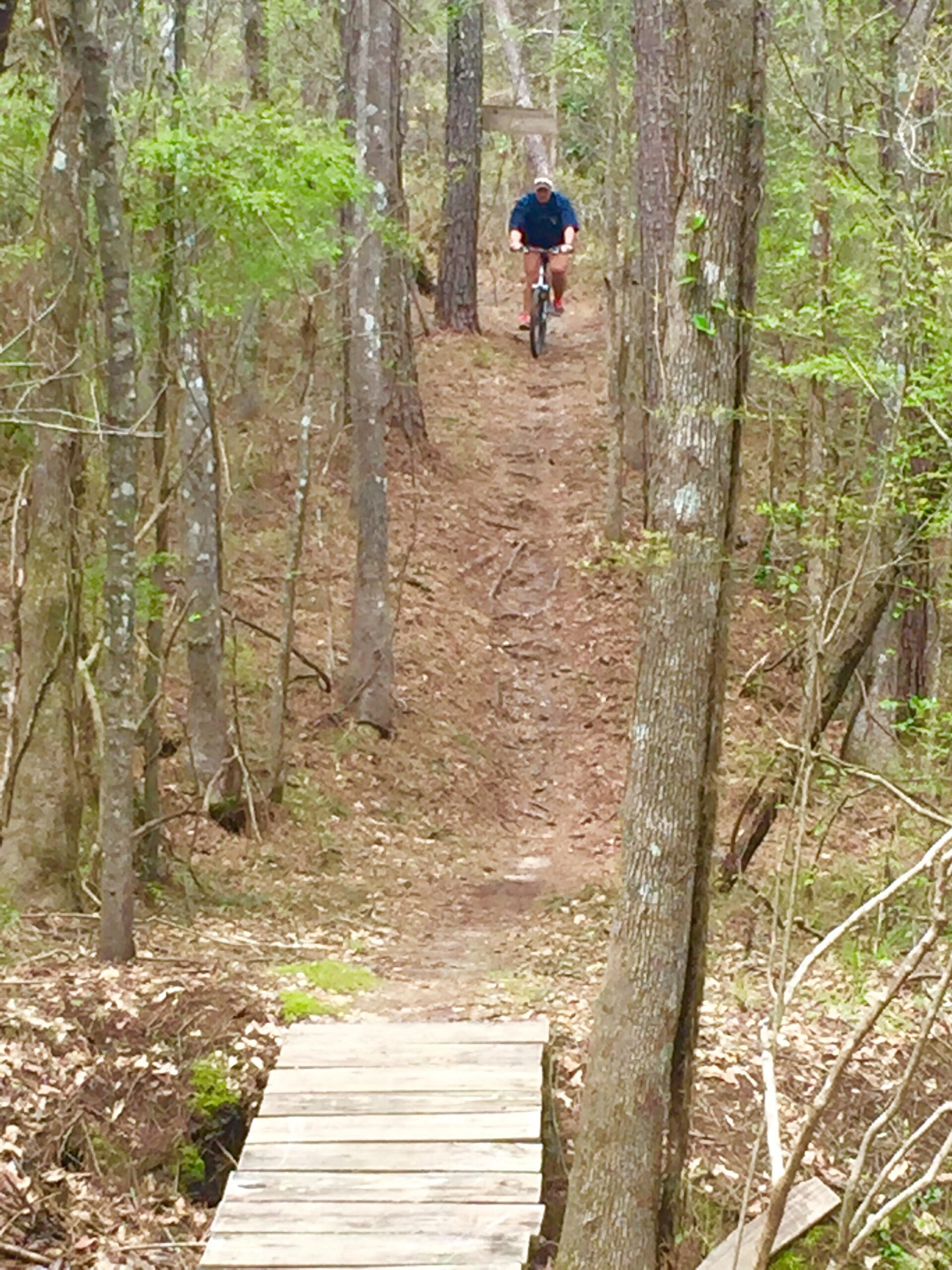 A cyclist riding a mountain bike along a narrow dirt trail in a lush, wooded area, approaching a wooden bridge over a small ditch. The scene is surrounded by trees with green foliage and scattered leaves on the ground. Mt. Zion Bike Trails mountain bike trail.