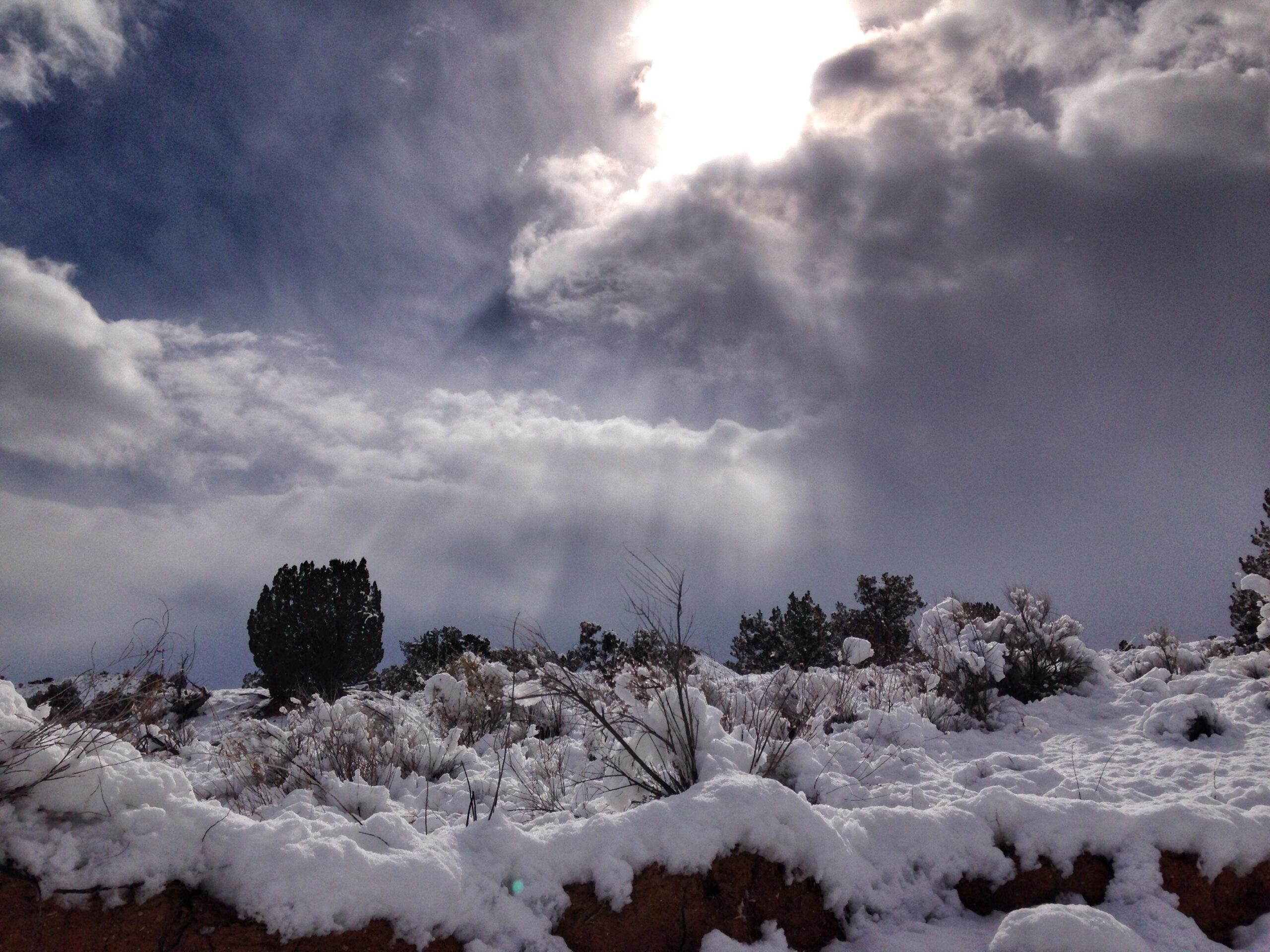 A snowy landscape with soft white snow covering the ground and vegetation, under a dramatic sky filled with clouds. The sun shines through the clouds, creating rays of light. A lone coniferous tree stands in the background, surrounded by snow-covered shrubs and grasses. Fenceline Fatbike Trail mountain bike trail.