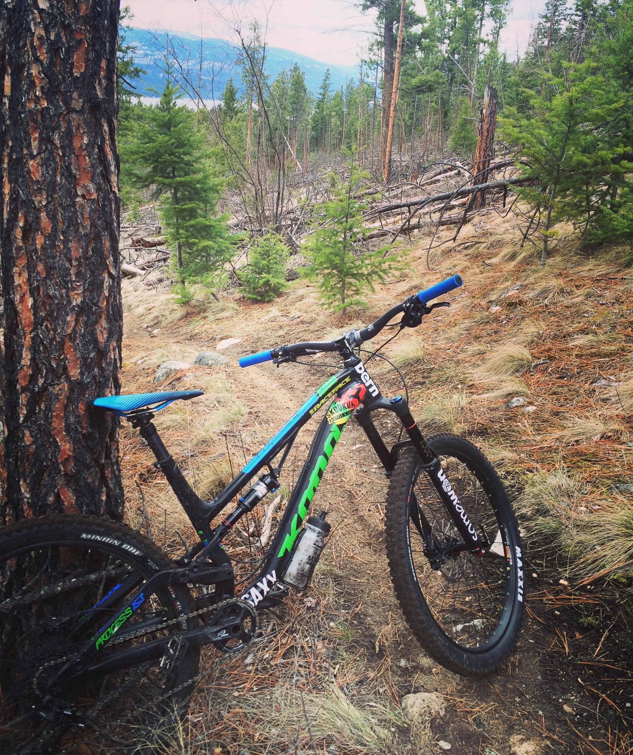 Kona Process 153: A vibrant mountain bike propped against a tall tree in a forested area, with a dirt path meandering through the landscape. The bike features blue handlebars and a sleek design, surrounded by greenery and scattered pine needles on the ground. In the background, rolling hills can be seen beneath a cloudy sky.