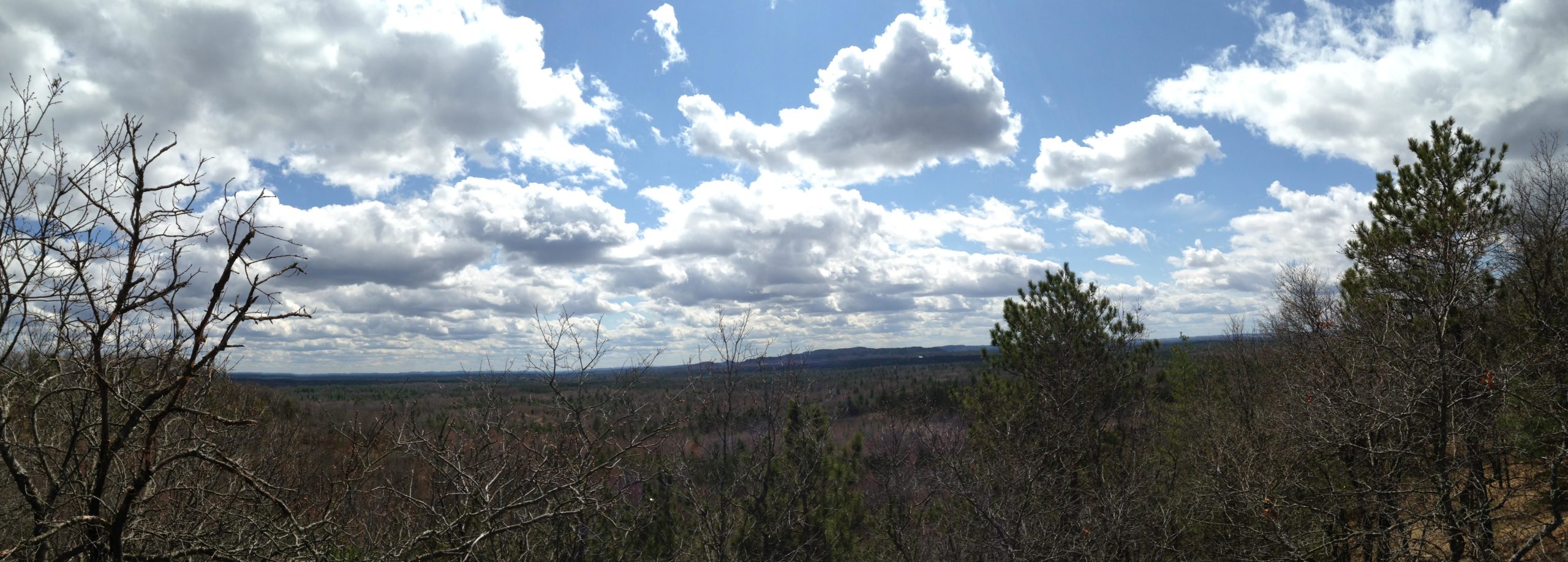 A panoramic view of a scenic landscape showcasing a wide expanse of deciduous trees and rolling hills under a partly cloudy sky. The foreground features bare tree branches and lush green pine trees, while the horizon reveals distant hills and a bright blue sky. Levis Mounds mountain bike trail.