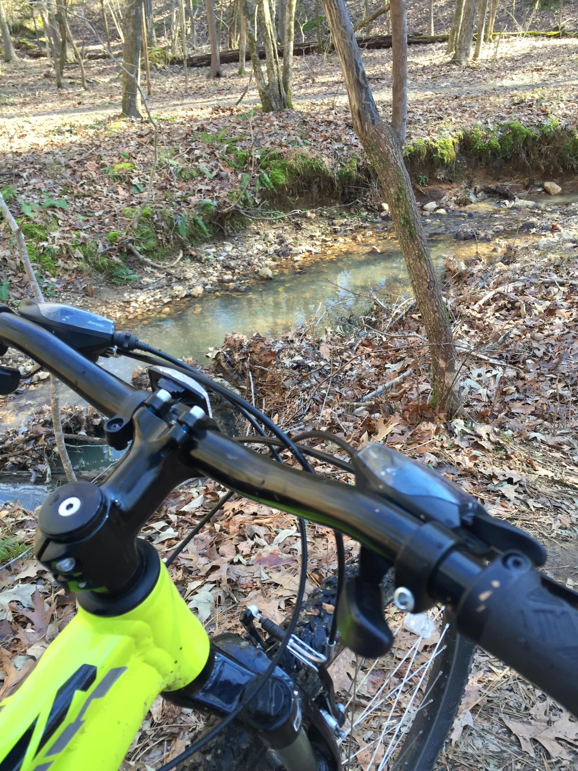 Alt text: "Close-up view of a mountain bike's handlebars in a wooded area, with a stream and fallen leaves visible in the background." Lake Crabtree County Park mountain bike trail.
