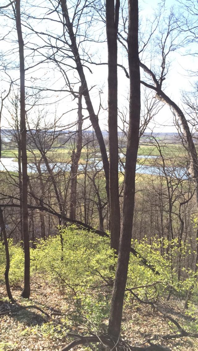 A wooded landscape showing bare trees and new green foliage in the foreground, with a view of a winding river and fields in the background under a clear sky. Creve Couer Park mountain bike trail.