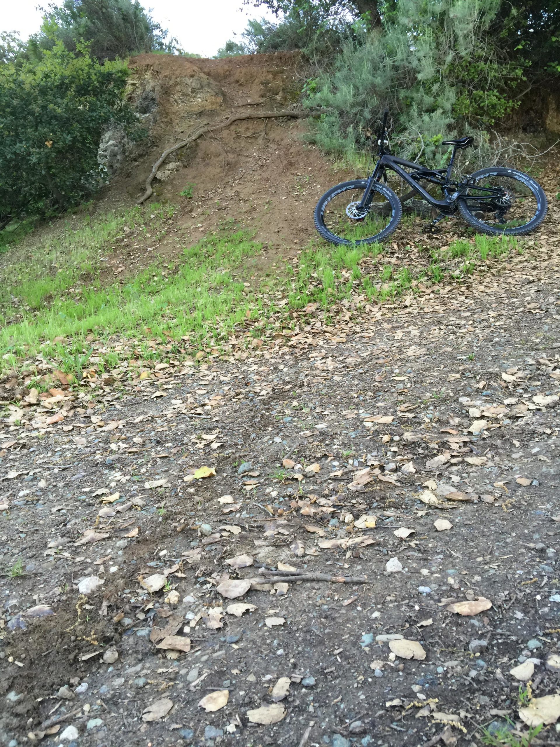 A black mountain bike leaning against a dirt embankment covered in grass and scattered leaves, surrounded by trees and foliage. Santa Teresa Park mountain bike trail.