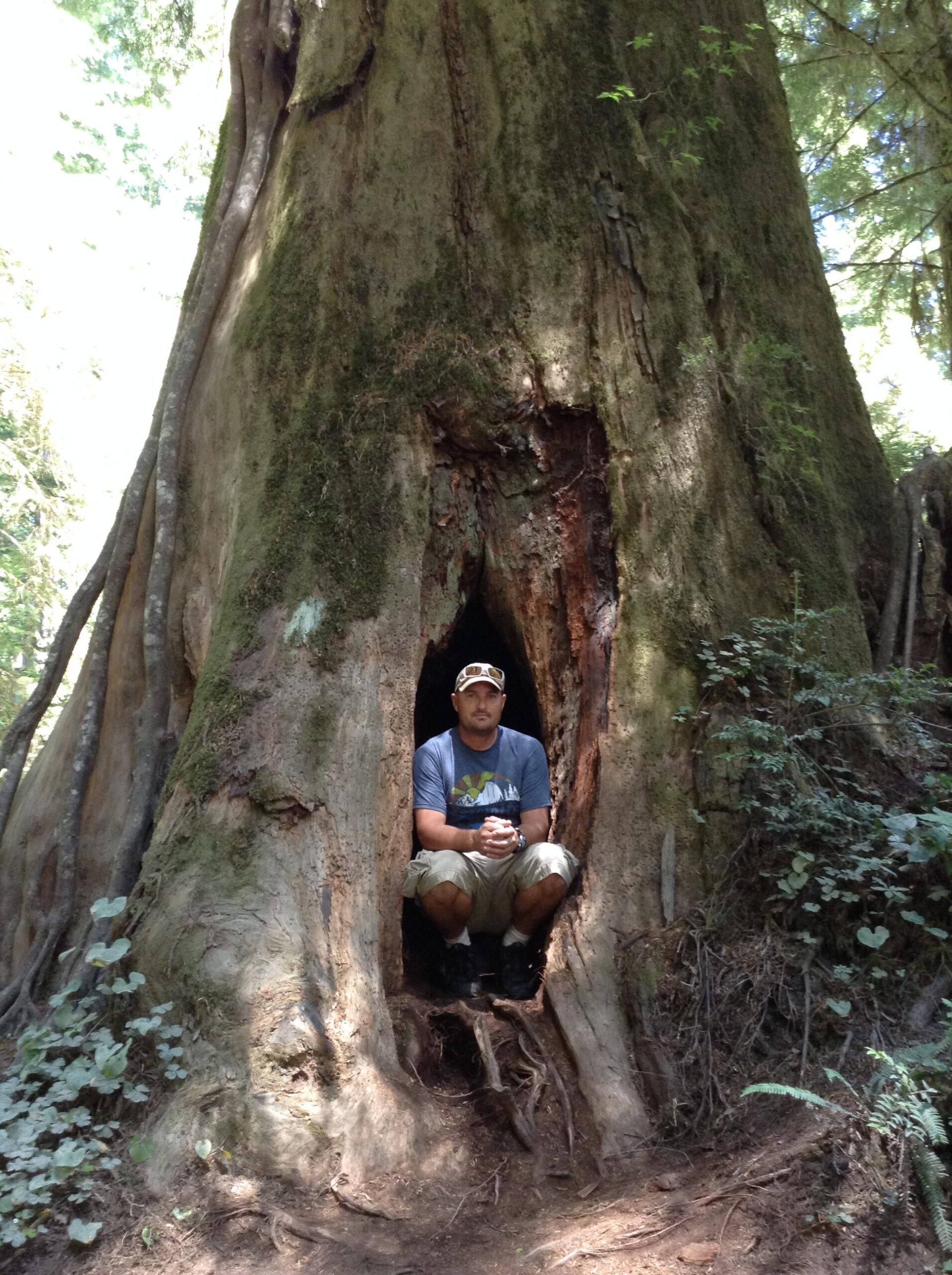 A person sitting inside a hollowed-out section of a large tree trunk, surrounded by lush greenery in a forest setting. The individual is wearing a casual t-shirt and shorts, with a serene expression. Sunlight filters through the trees, creating a natural and tranquil atmosphere. Smith River Trails mountain bike trail.