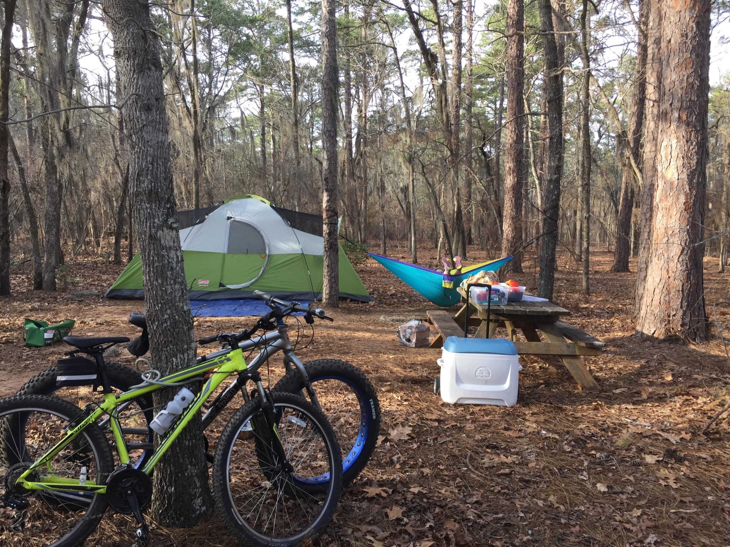 A campsite scene featuring a green and gray tent set among tall trees with sparse foliage. In the foreground, two mountain bikes lean against a tree. A blue hammock is suspended between two trees nearby, and there is a wooden picnic table with a cooler and various supplies on it. The ground is covered with fallen leaves, creating a natural and rustic camping atmosphere. Poinsett State Park mountain bike trail.