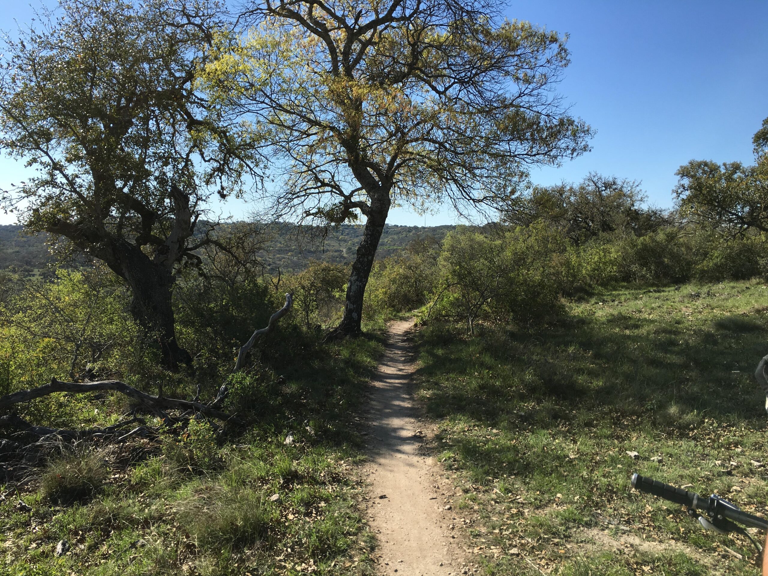 A dirt path winding through a lush green landscape, bordered by trees and shrubs under a clear blue sky. The scene captures the tranquility of nature, inviting exploration. Flat Rock Ranch mountain bike trail.