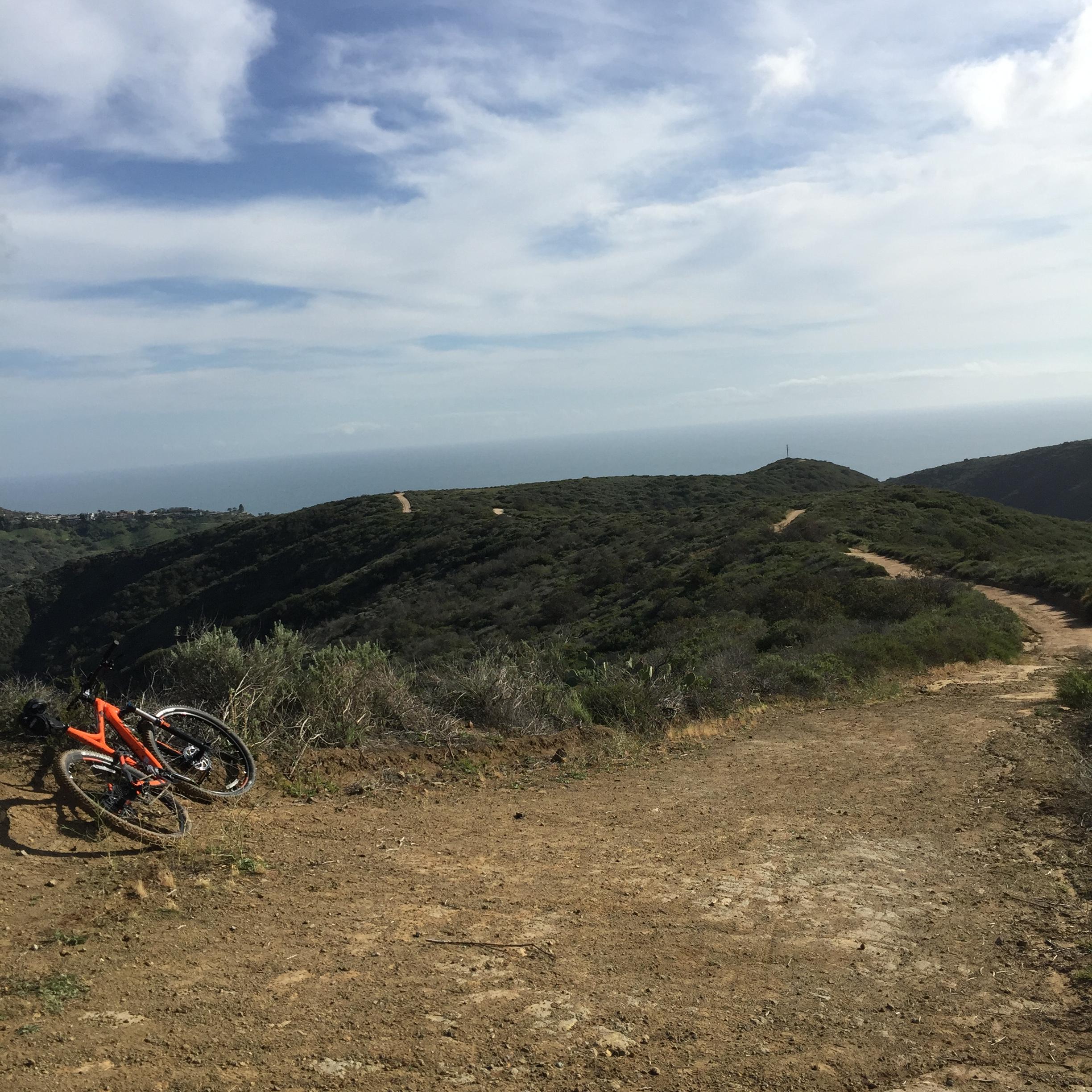 Trek Fuel EX 5 29: A scenic view of rolling hills and a coastline, with a mountain bike leaning against the ground in the foreground. The landscape features dirt trails winding through greenery, under a partly cloudy sky.