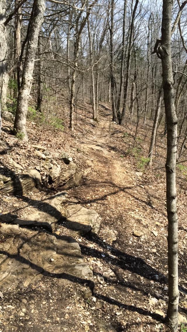 A winding dirt path through a forest, flanked by bare trees and rocky terrain. Sunlight filters through the branches, highlighting the trail and surrounding ground with scattered leaves and stones. Lost Valley mountain bike trail.