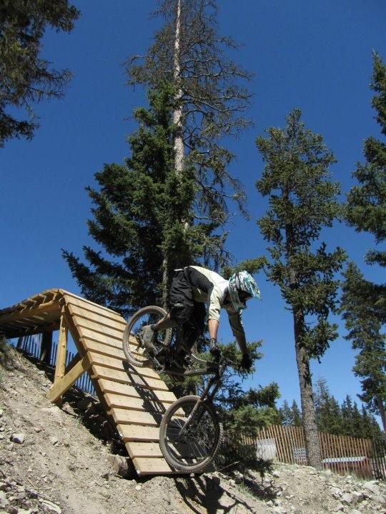 A mountain biker navigating a wooden ramp on a dirt trail, surrounded by tall pine trees and a clear blue sky. The cyclist is airborne, showcasing an impressive jump as they descend from the ramp. Angel Fire Bike Park mountain bike trail.